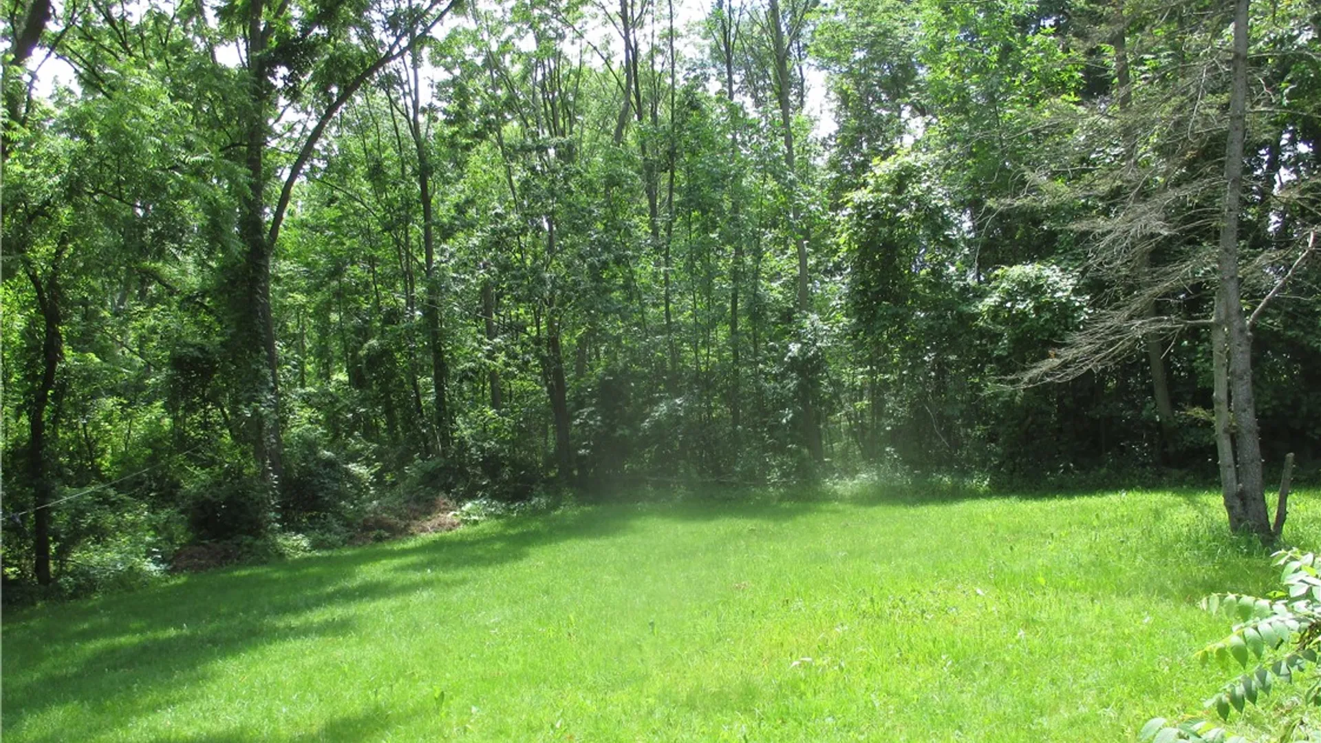 Property at 3560 Silvernail Road, East Bloomfield, NY 14469 8