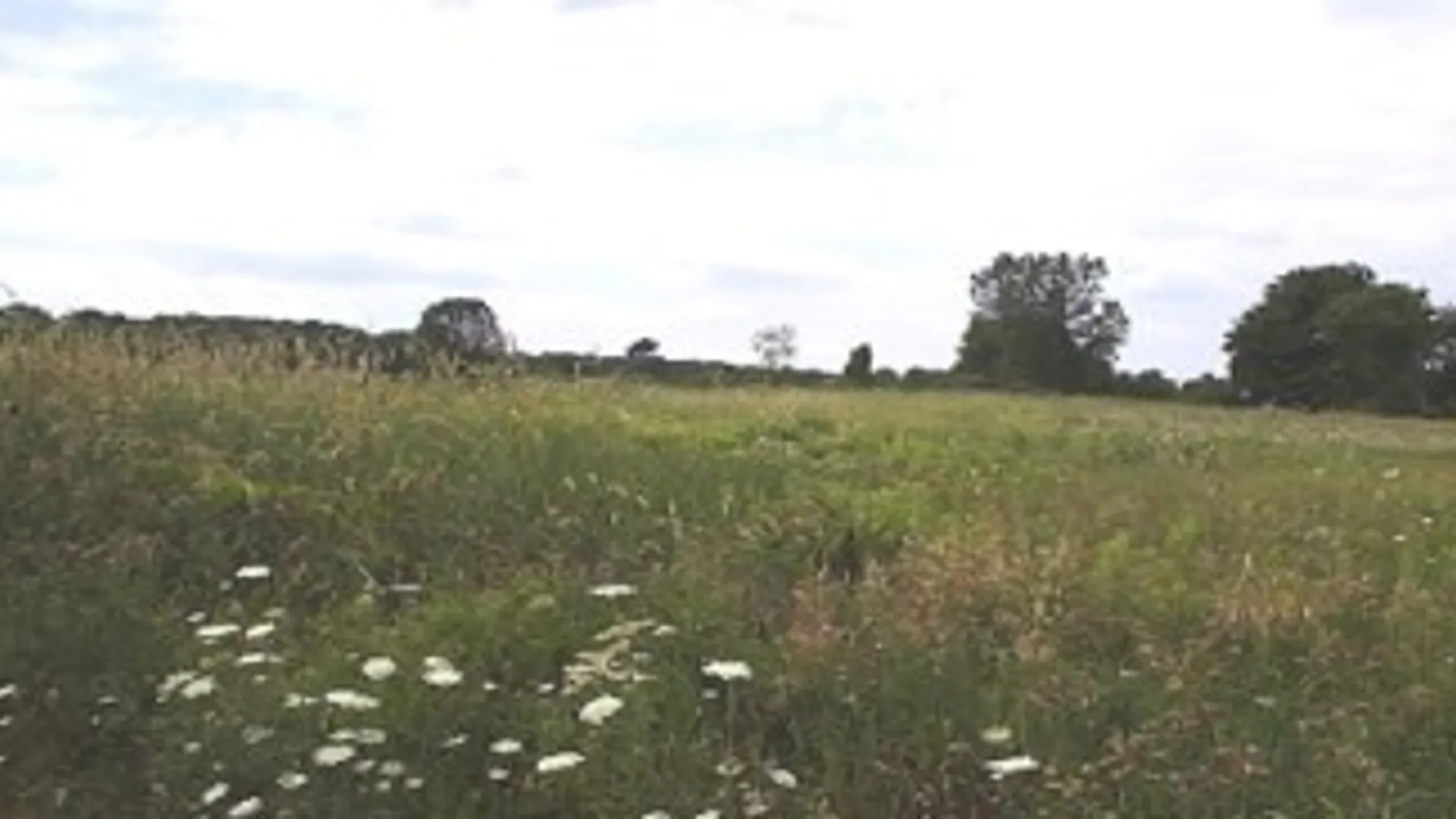Property at 1250 Trumansburg Road, Ithaca Town, NY 14850 18
