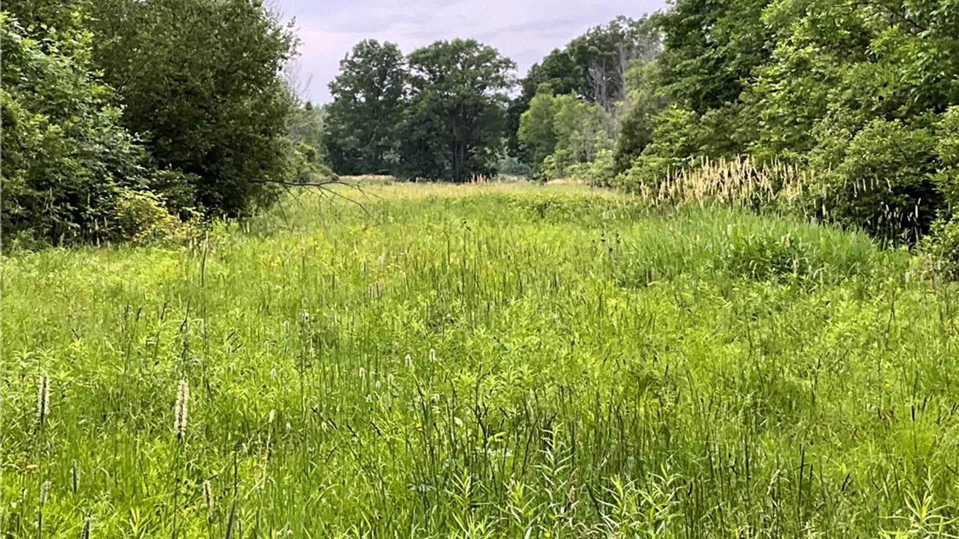 Property at W Barre Road, Barre, NY 14411 14