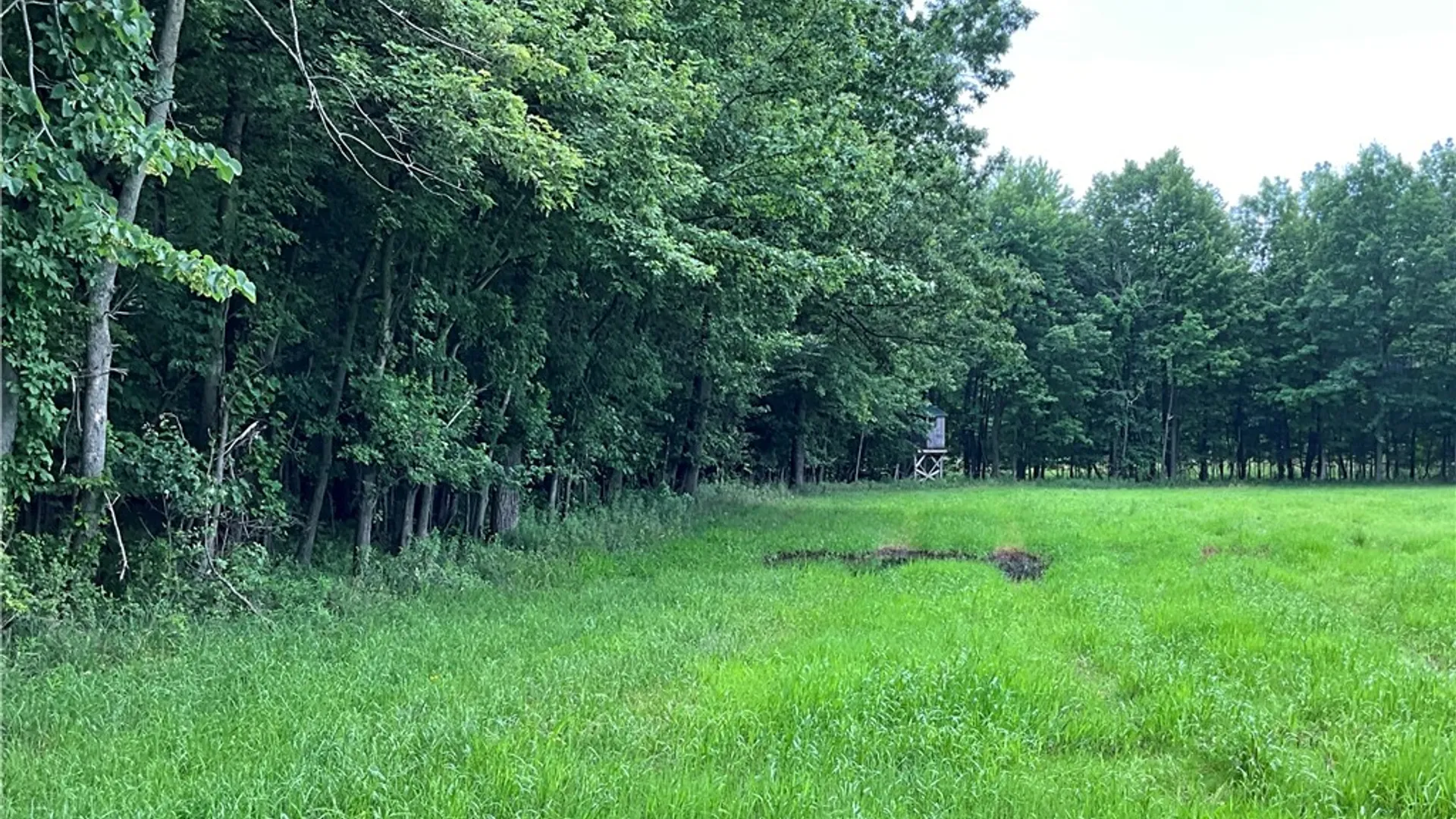 Property at W Barre Road, Barre, NY 14411 8