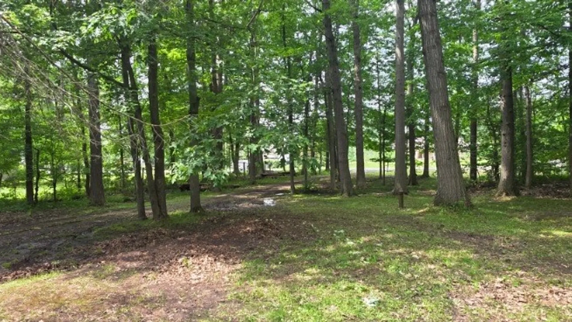 Property at 8905 County Road, Clarence, NY 14032 11