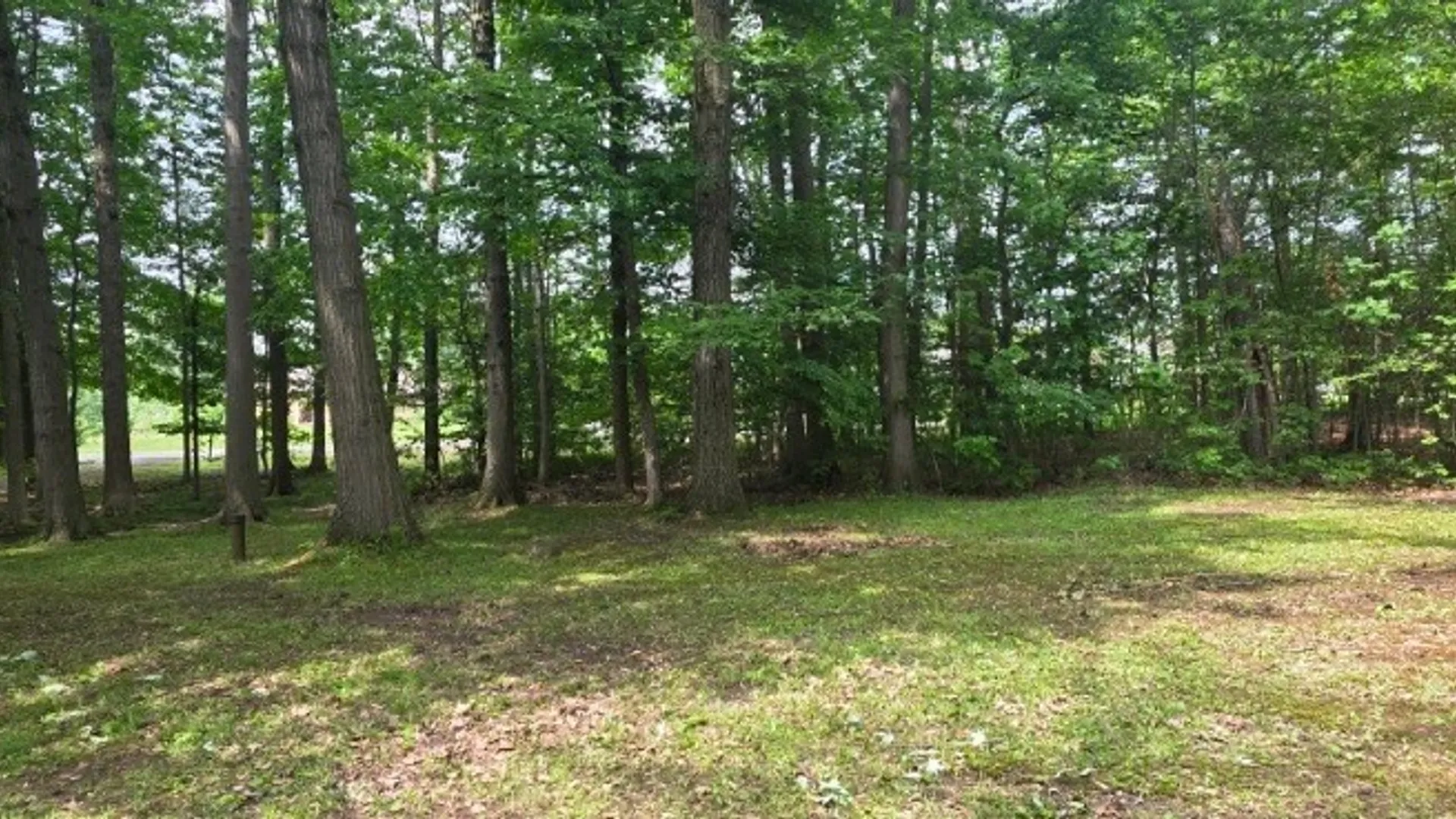 Property at 8905 County Road, Clarence, NY 14032 13