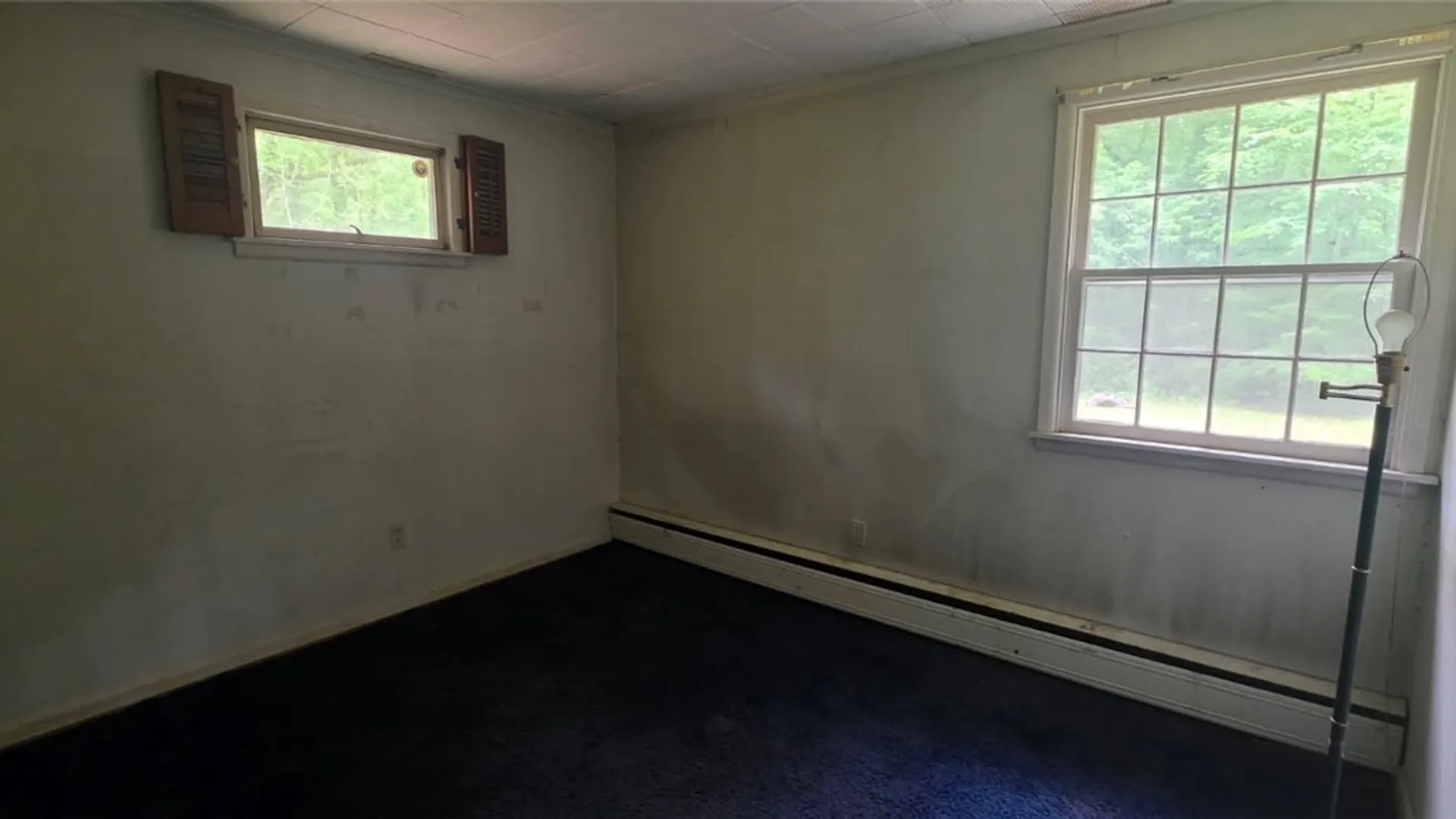 Property at 8905 County Road, Clarence, NY 14032 35