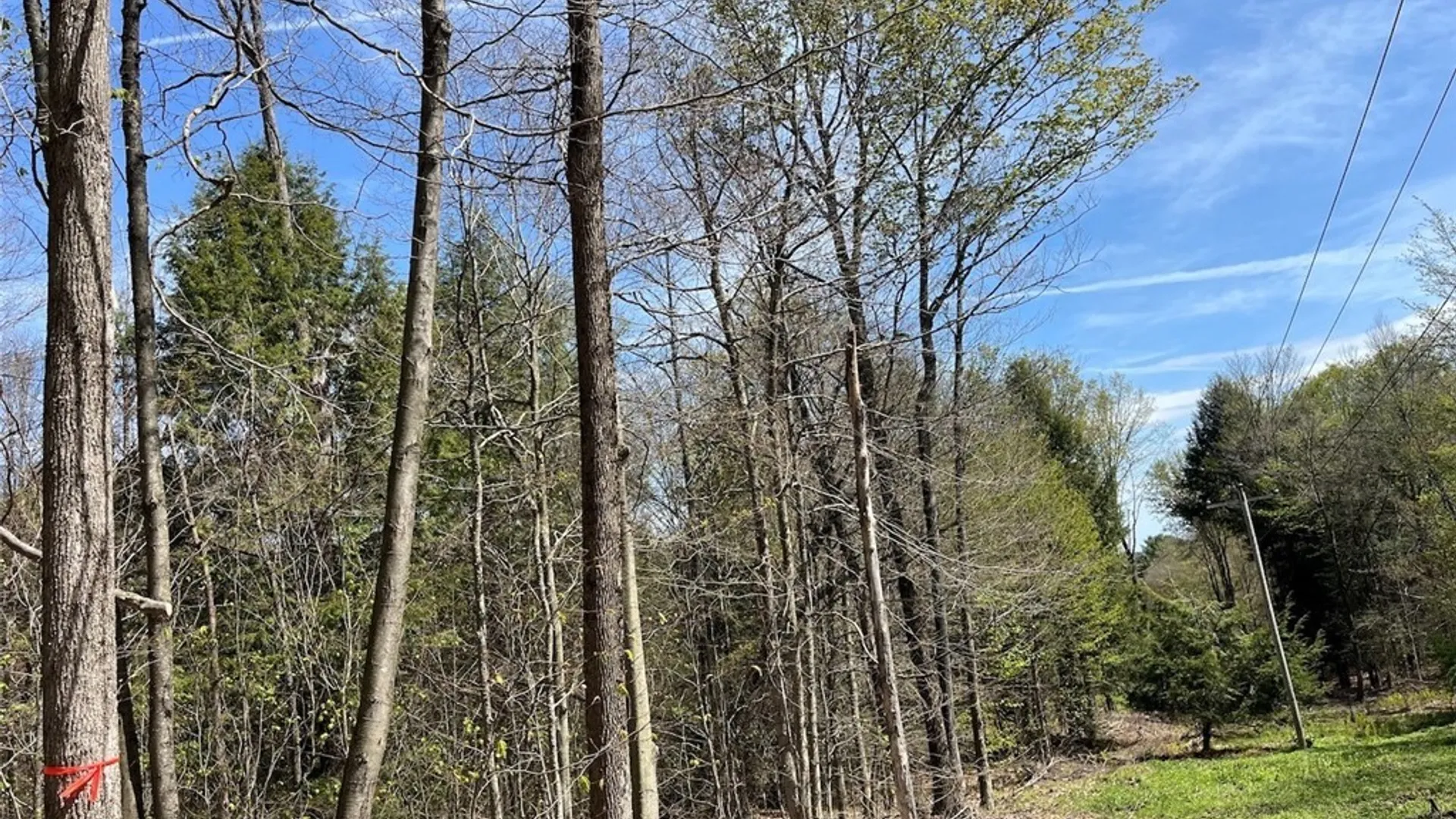 Property at 106 Road, Alma, NY 14708 13
