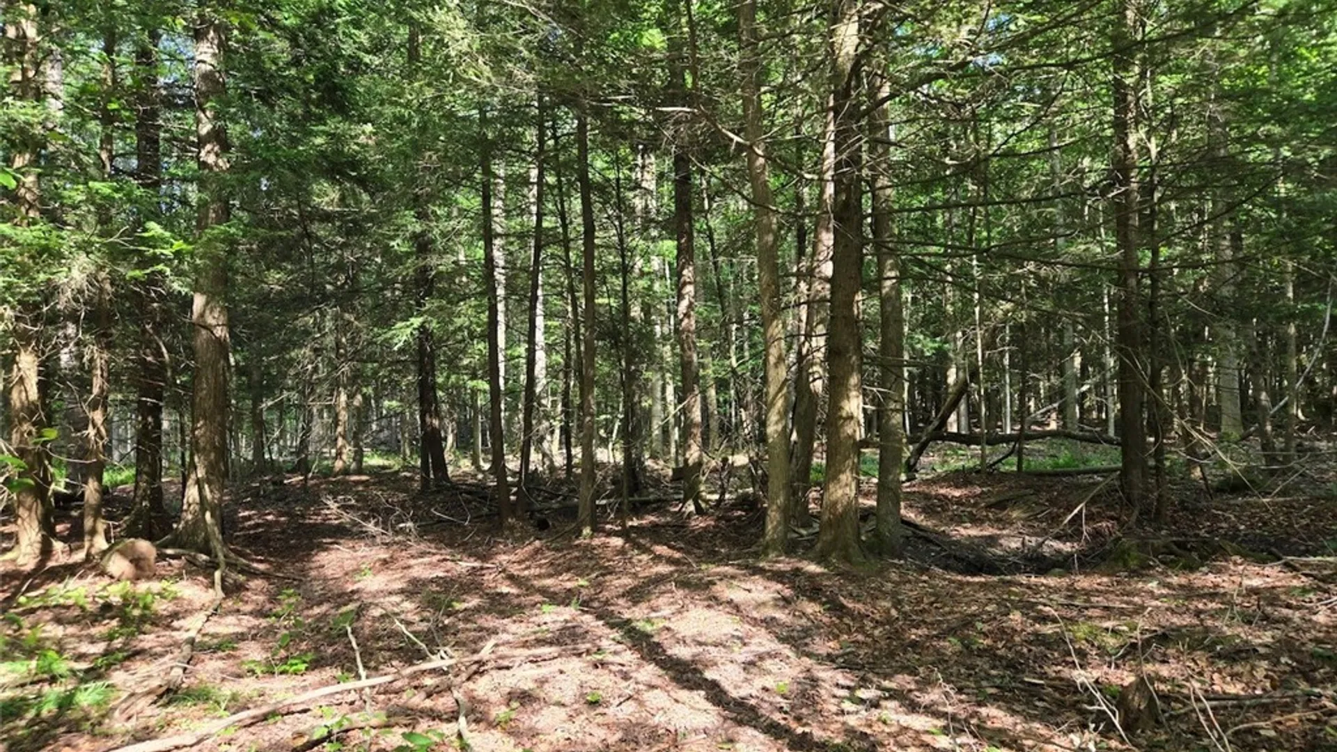 Property at 7988 Dowd Road, Pike, NY 14735 24
