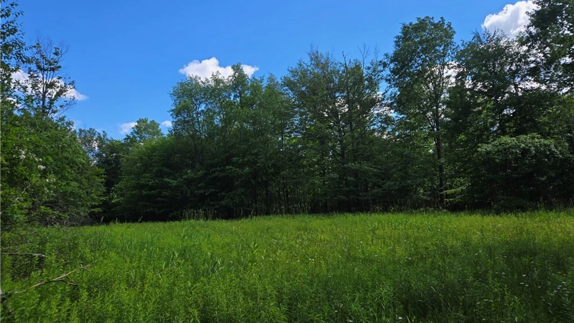Property at 7988 Dowd Road, Pike, NY 14735 25