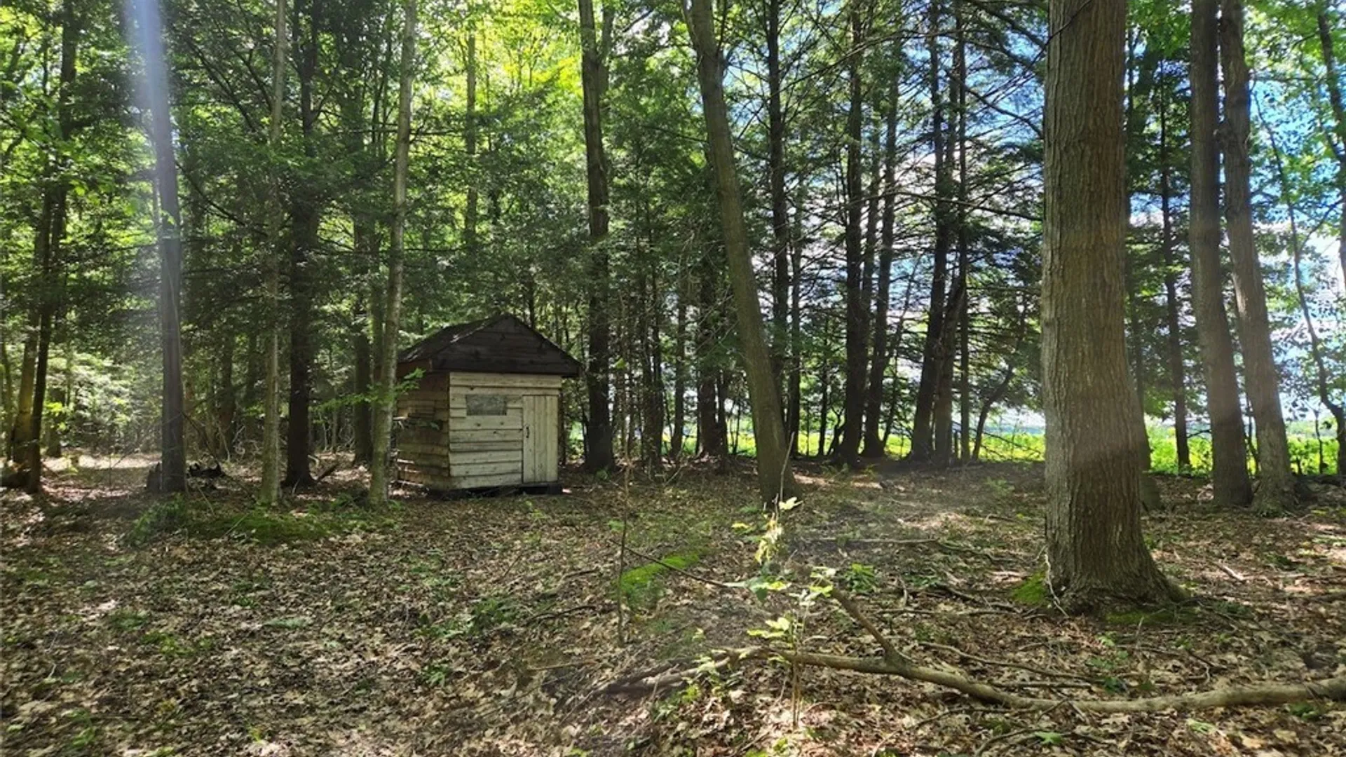 Property at 7988 Dowd Road, Pike, NY 14735 26
