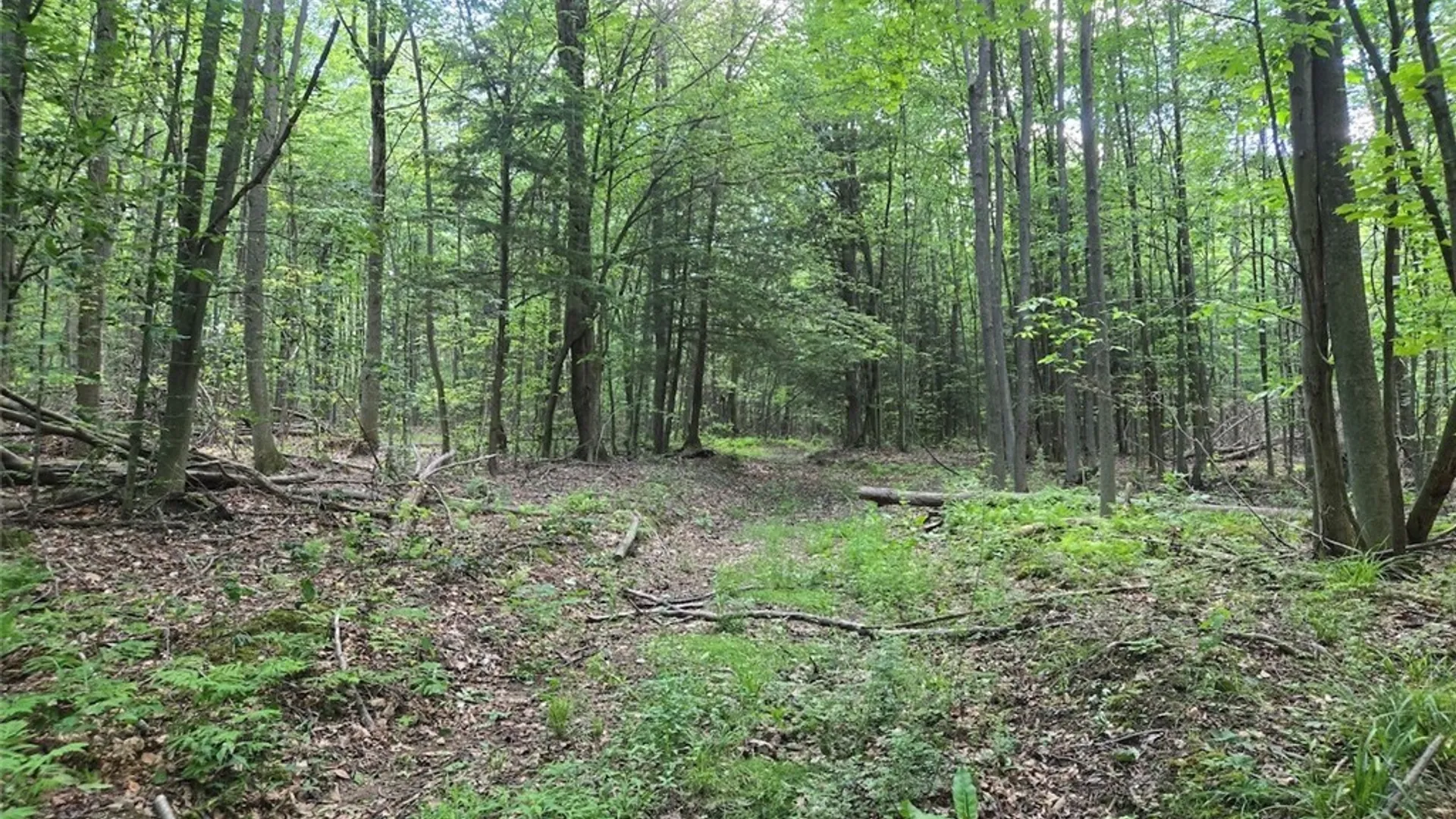 Property at 7988 Dowd Road, Pike, NY 14735 31