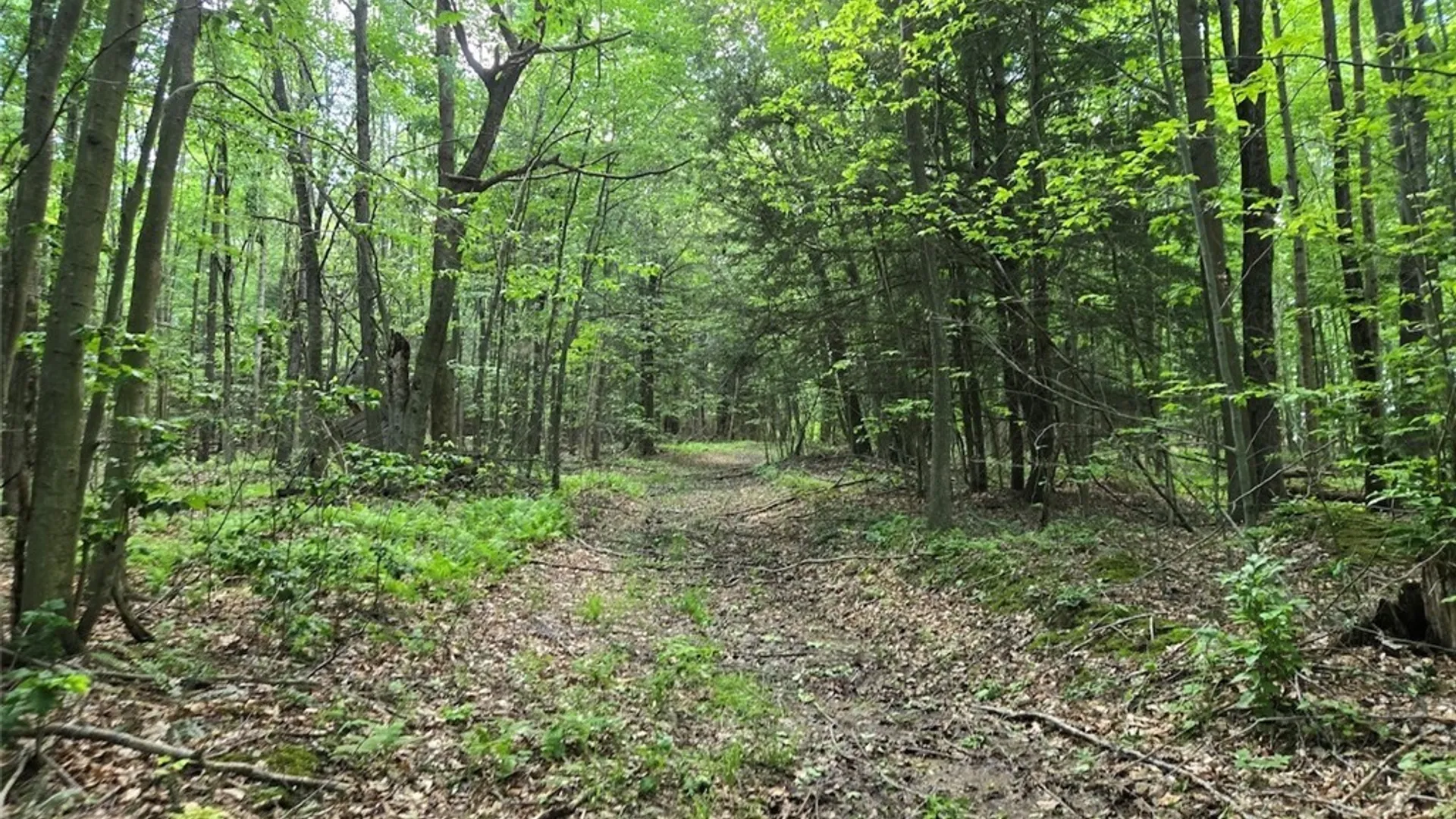 Property at 7988 Dowd Road, Pike, NY 14735 33