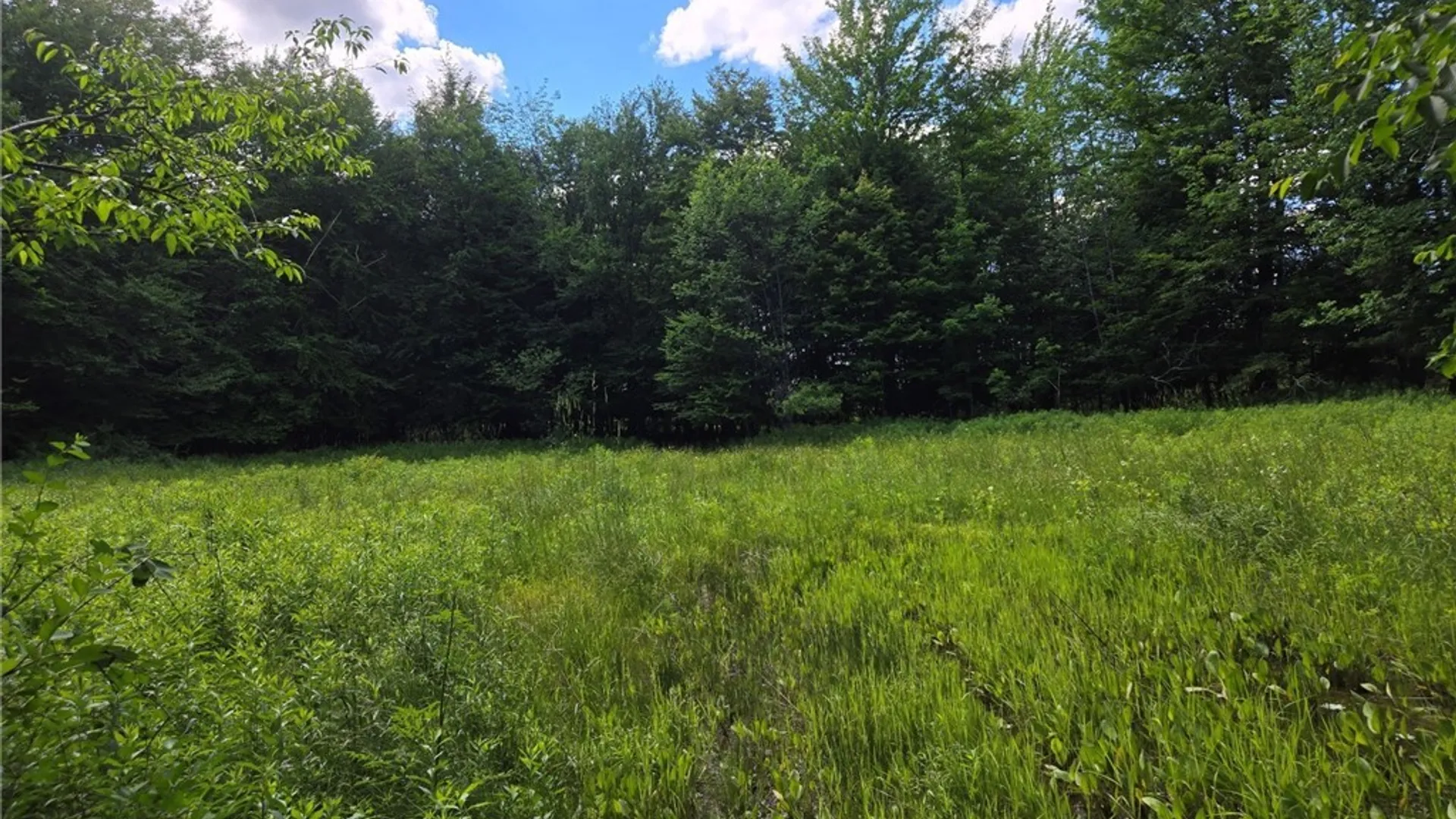 Property at 7988 Dowd Road, Pike, NY 14735 35