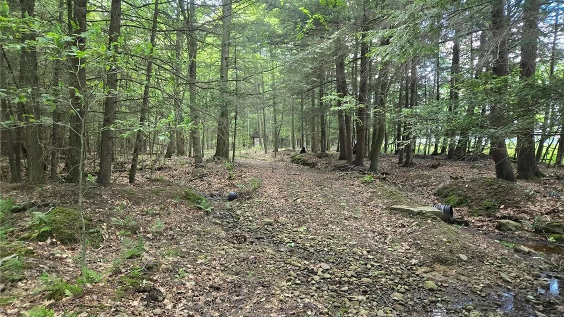 Property at 7988 Dowd Road, Pike, NY 14735 36