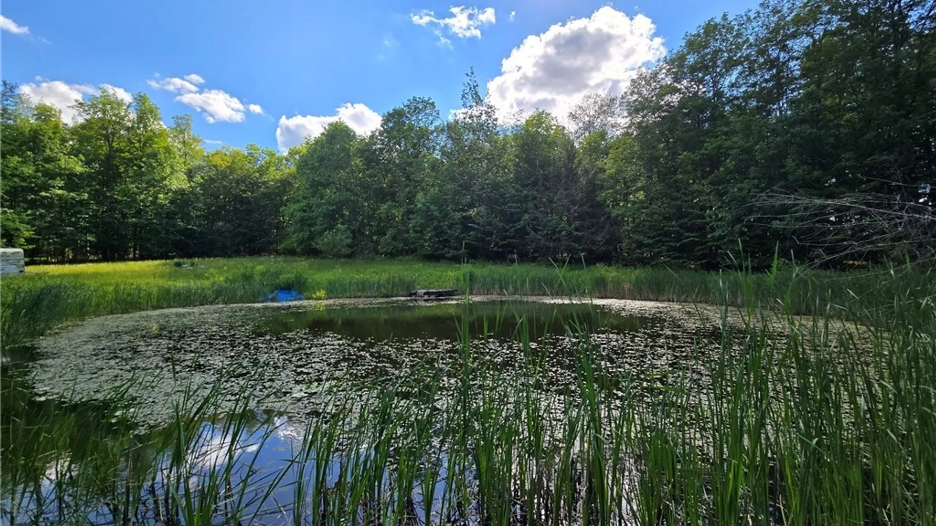 Property at 7988 Dowd Road, Pike, NY 14735 4