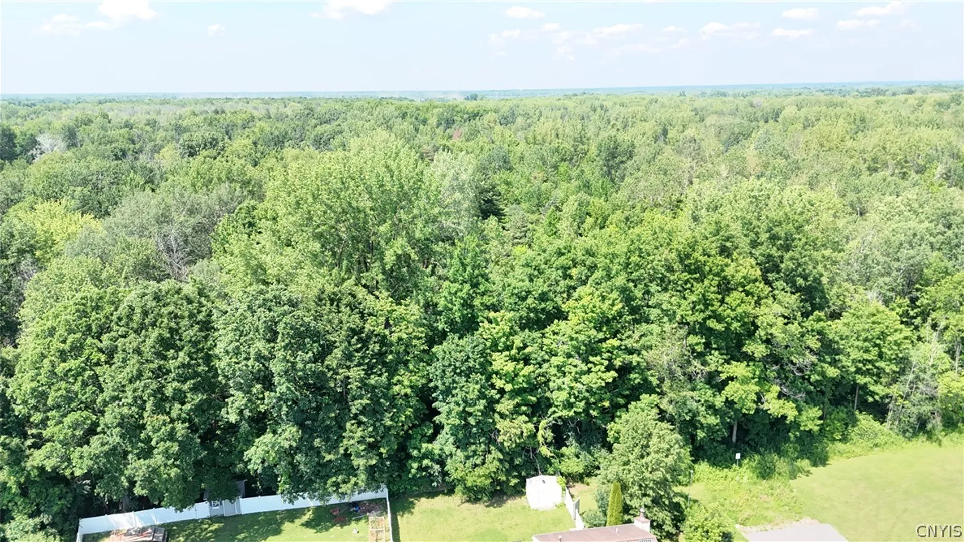 Property at 8193 Rizzo Drive, Clay, NY 13041 47