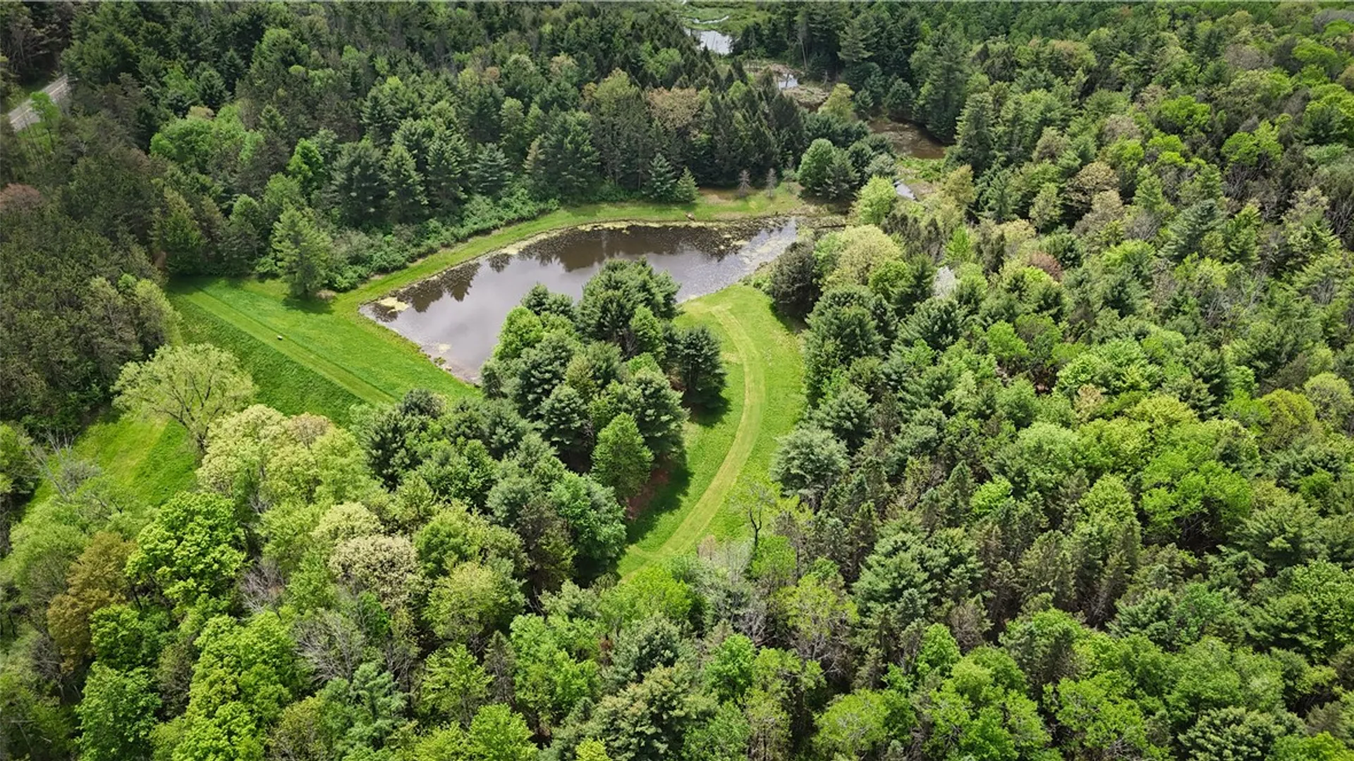 Property at 450 Dean Creek Road, Spencer, NY 14859 19