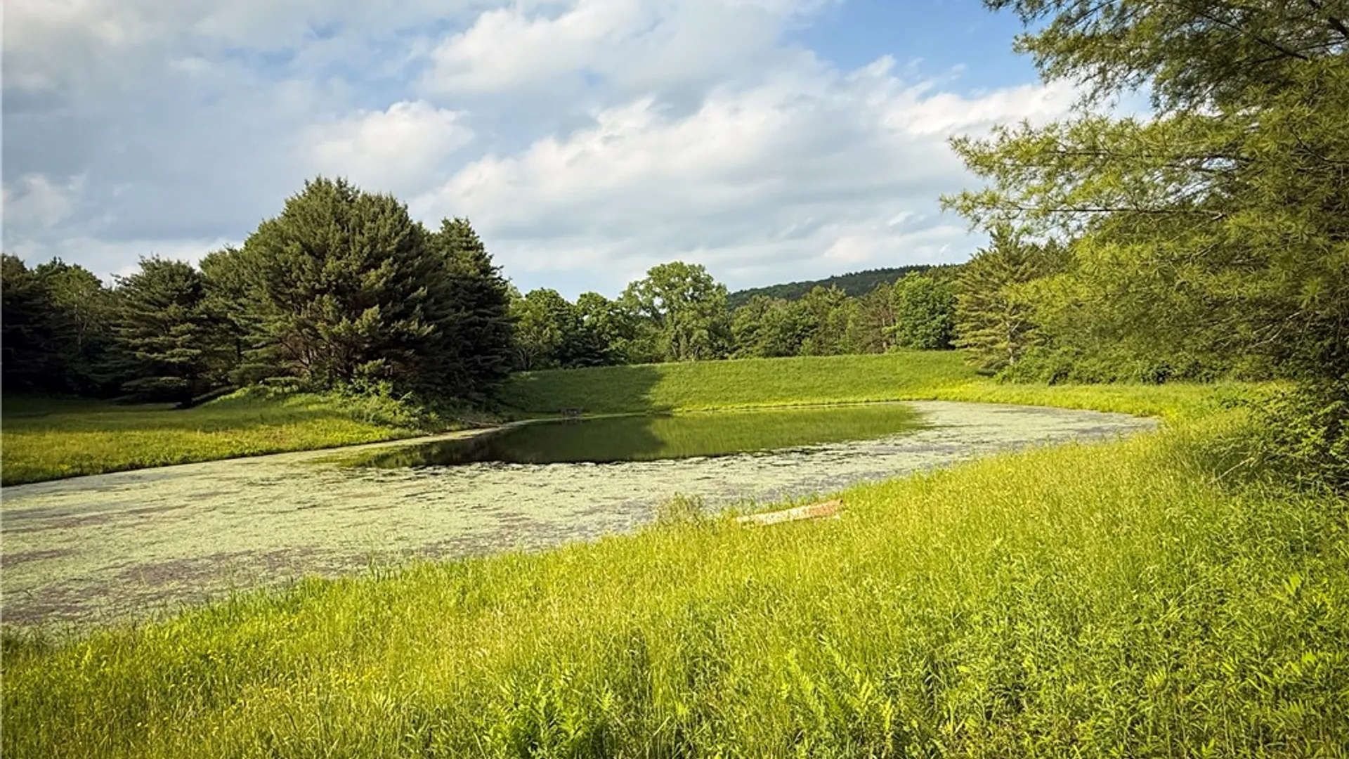 Property at 450 Dean Creek Road, Spencer, NY 14859 31