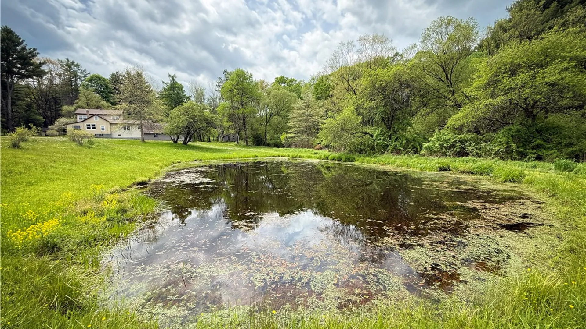 Property at 450 Dean Creek Road, Spencer, NY 14859 43