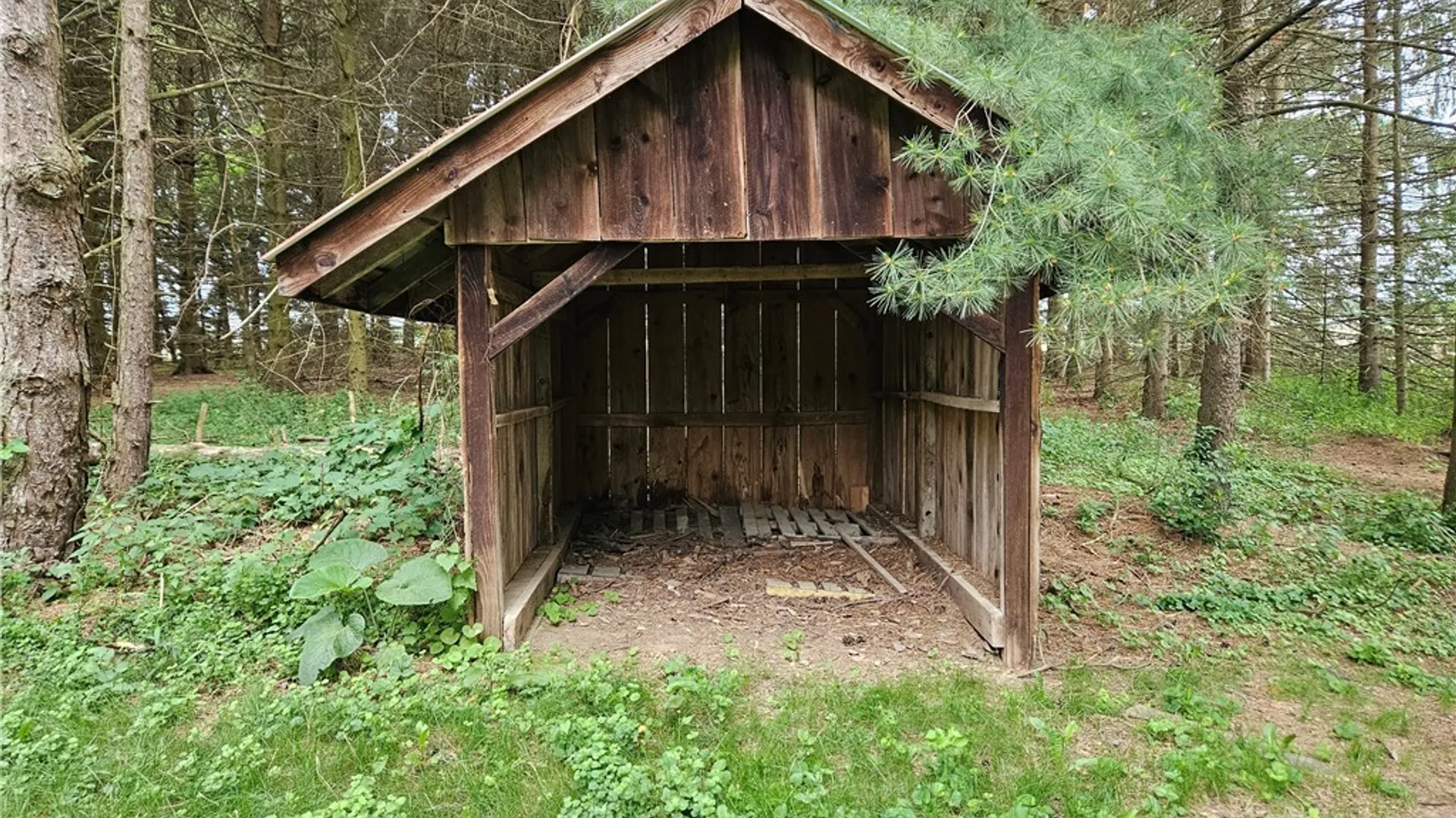 Property at 492 Lansingville Road, Lansing, NY 14882 30