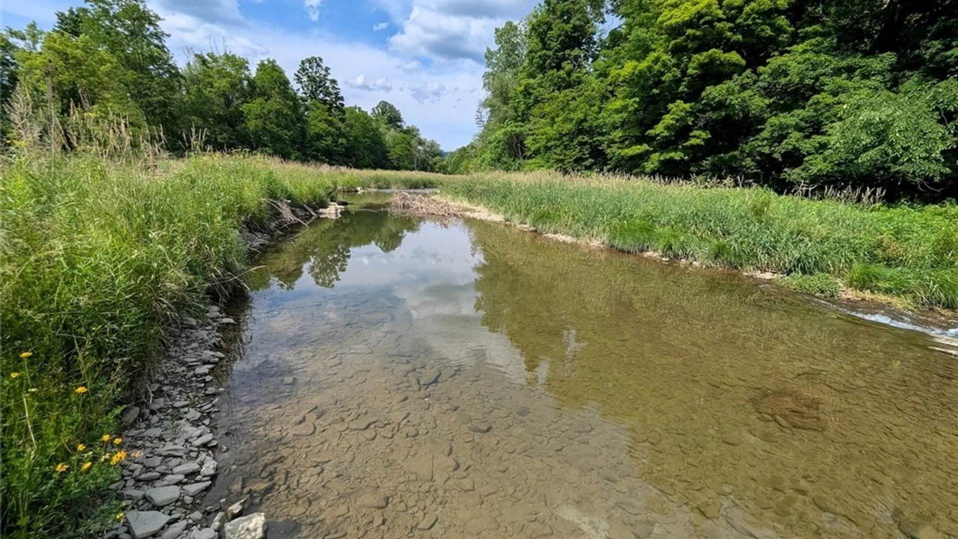 Property at 5430 Meads Creek Road, Campbell, NY 14870 37