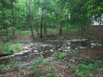 Property at 0 N Lake Road, Champion, NY 13619