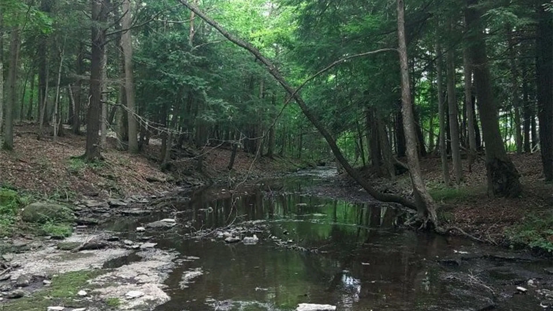 Property at 0 N Lake Road, Champion, NY 13619 3