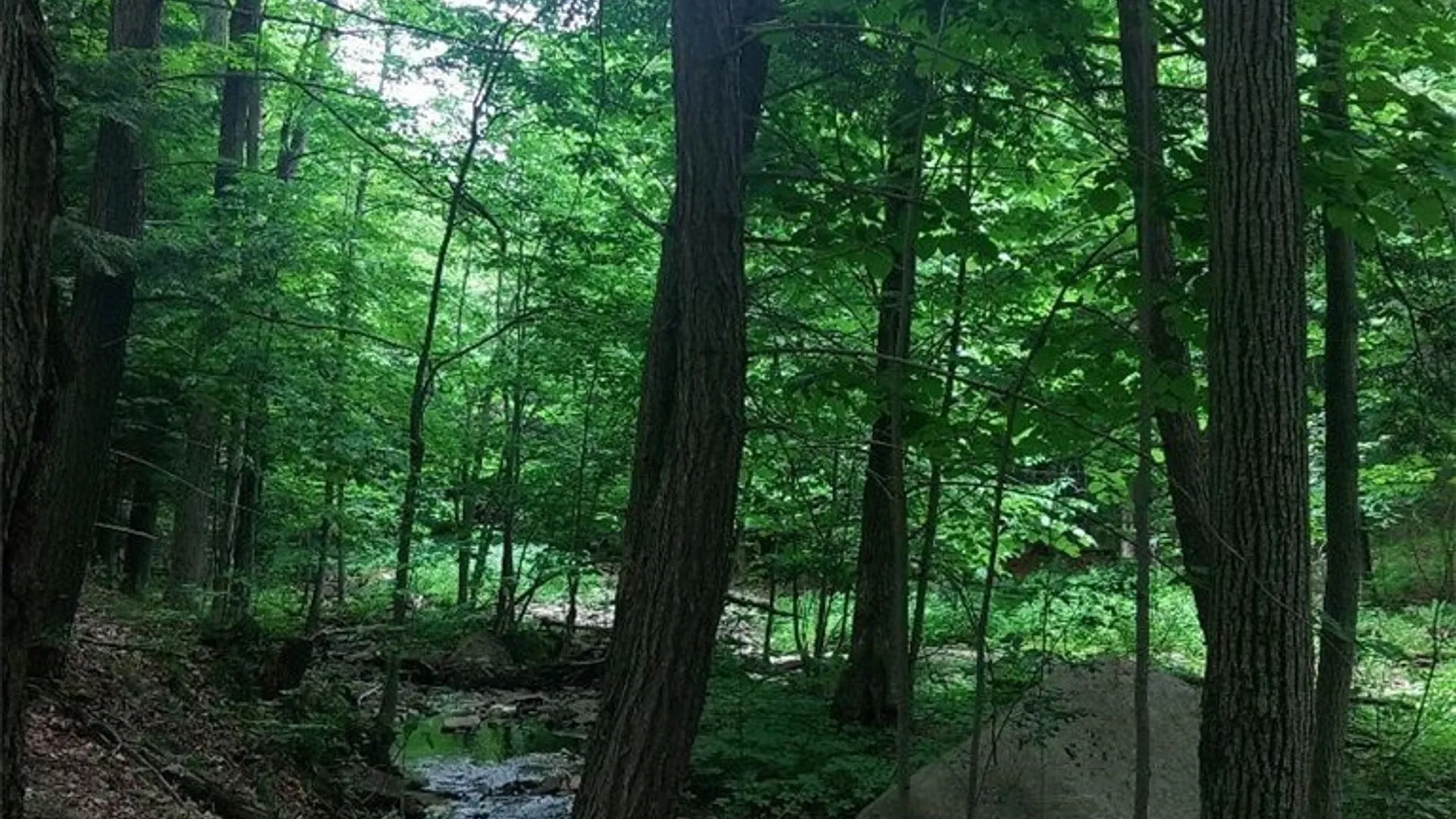 Property at 0 N Lake Road, Champion, NY 13619 5