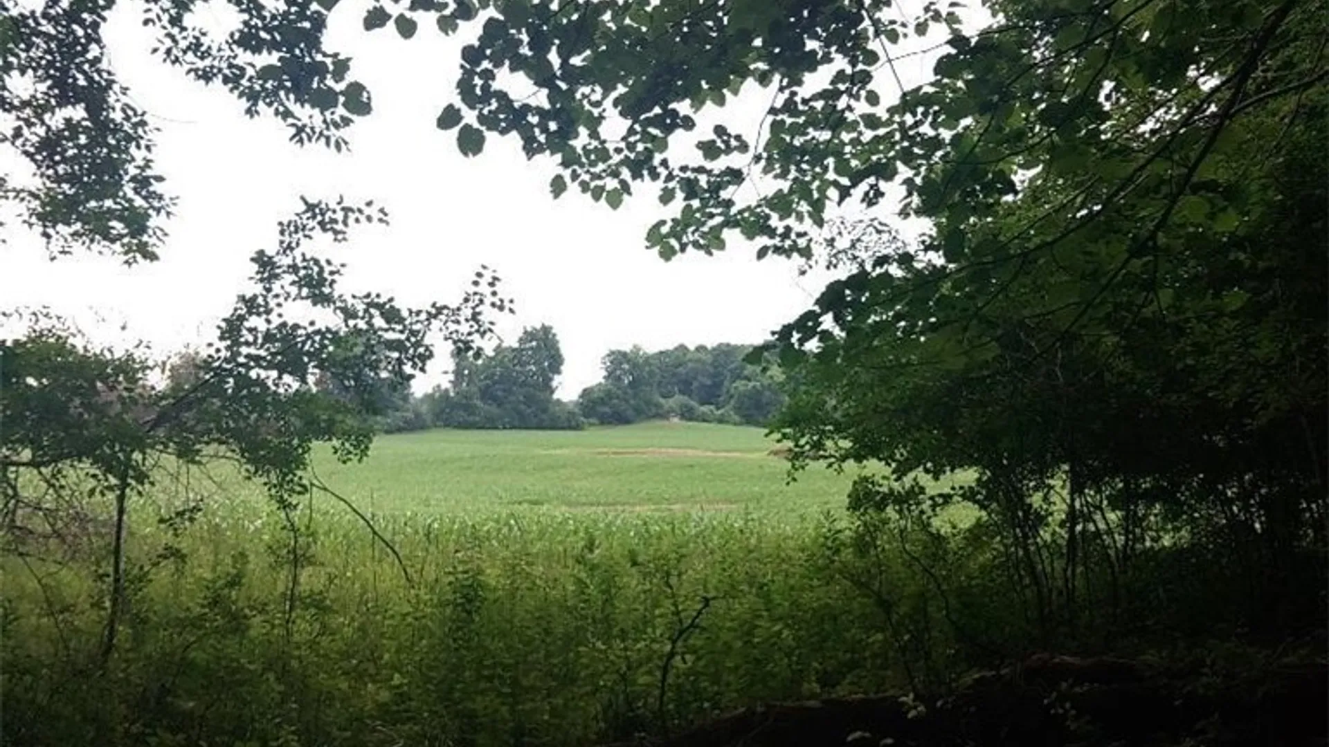 Property at 0 N Lake Road, Champion, NY 13619 7