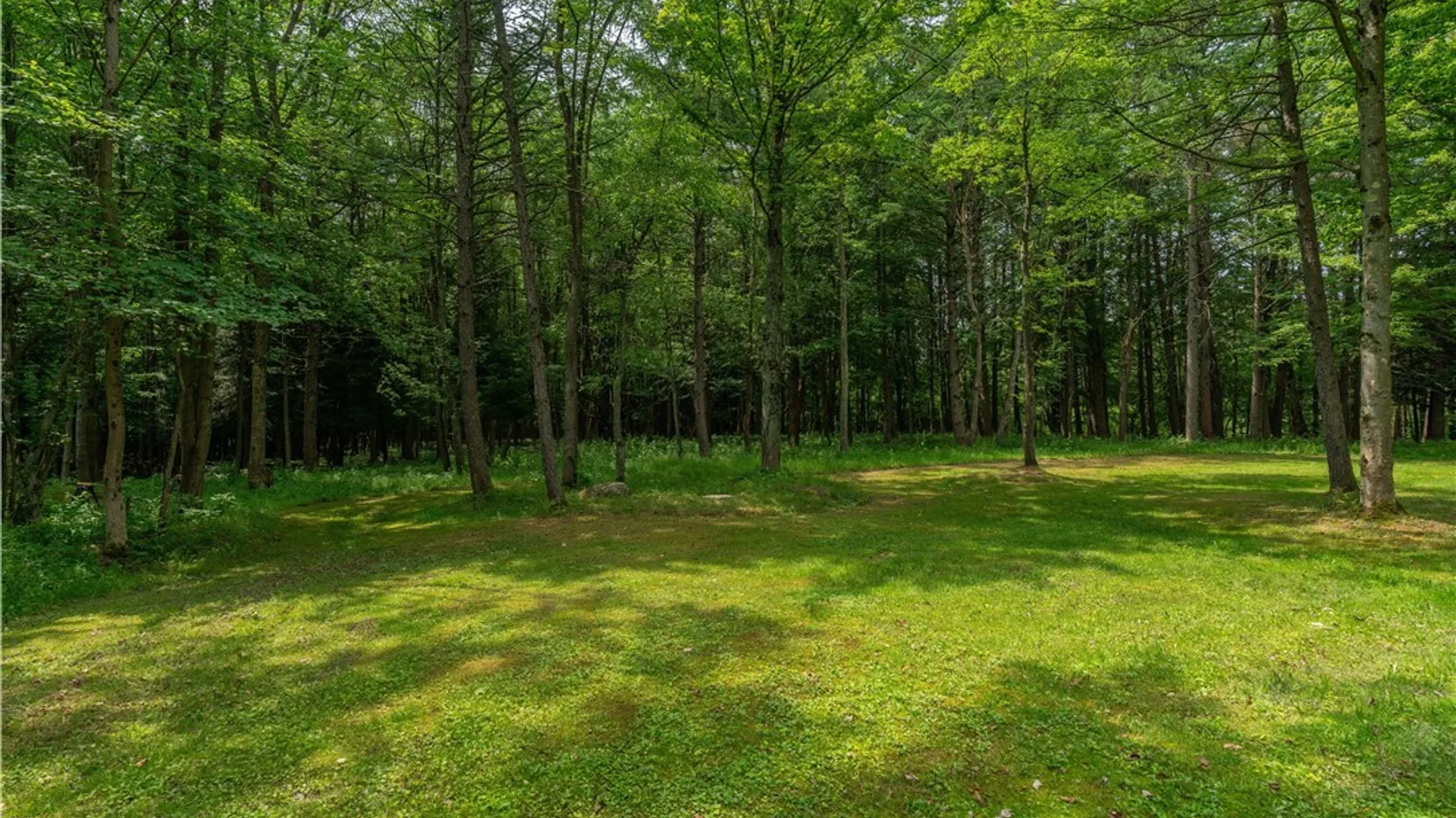 Property at 7459 Concord Road, Concord, NY 14141 34