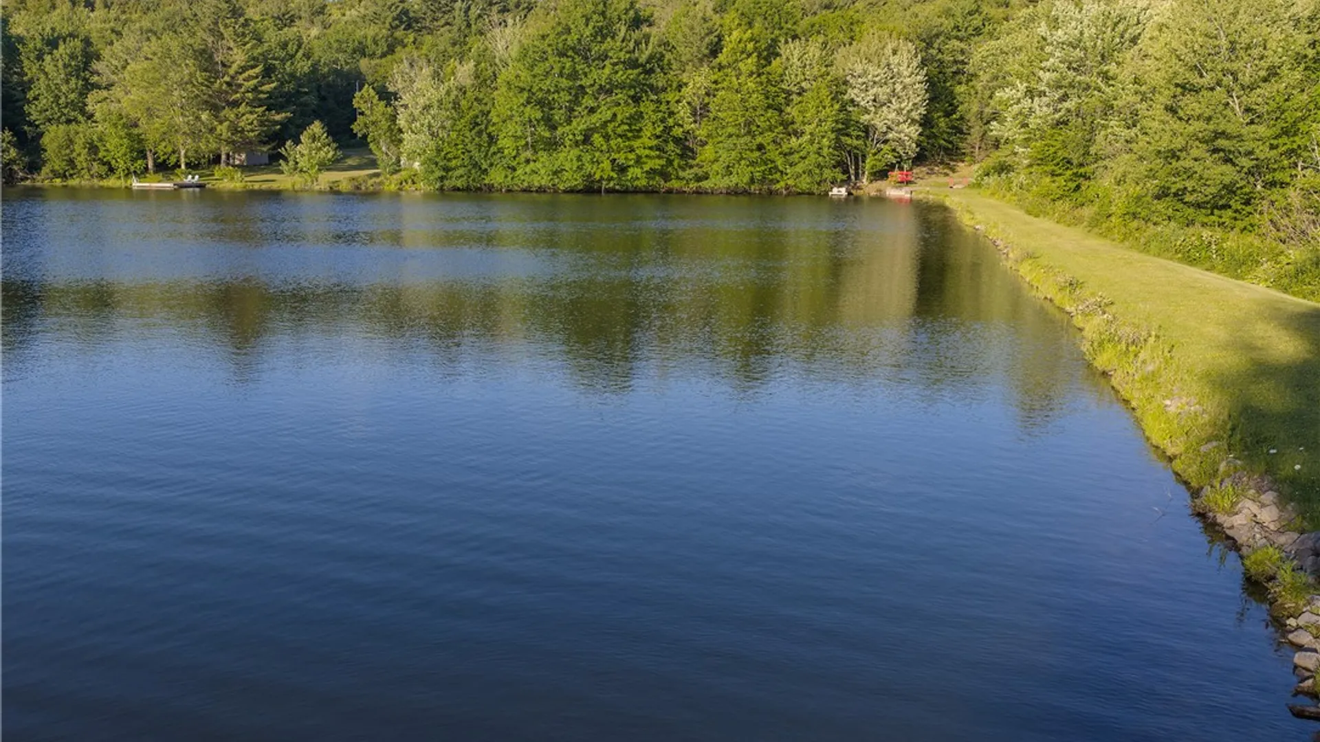 Property at 135 Sparrowhawk Lake Road, Maryland, NY 12155 50