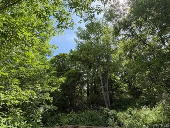 Property at 11557 Mill Street, Hume, NY 14536