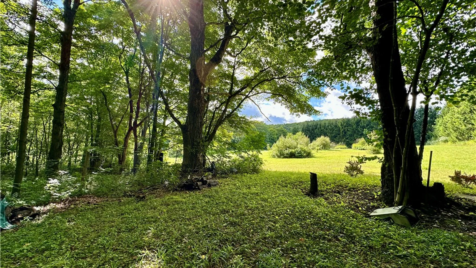 Property at 0 Lanning Road, Naples, NY 14512 11