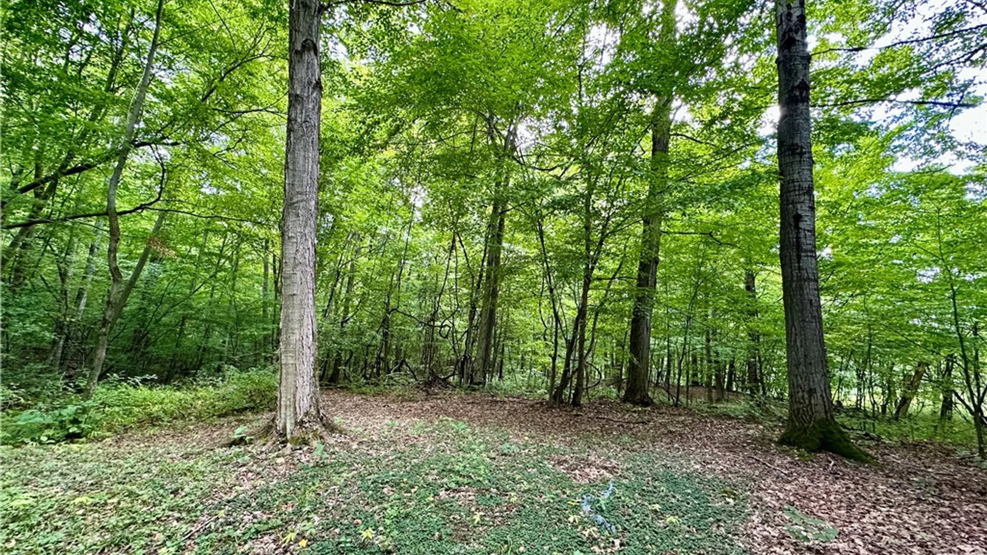 Property at 0 Lanning Road, Naples, NY 14512 15