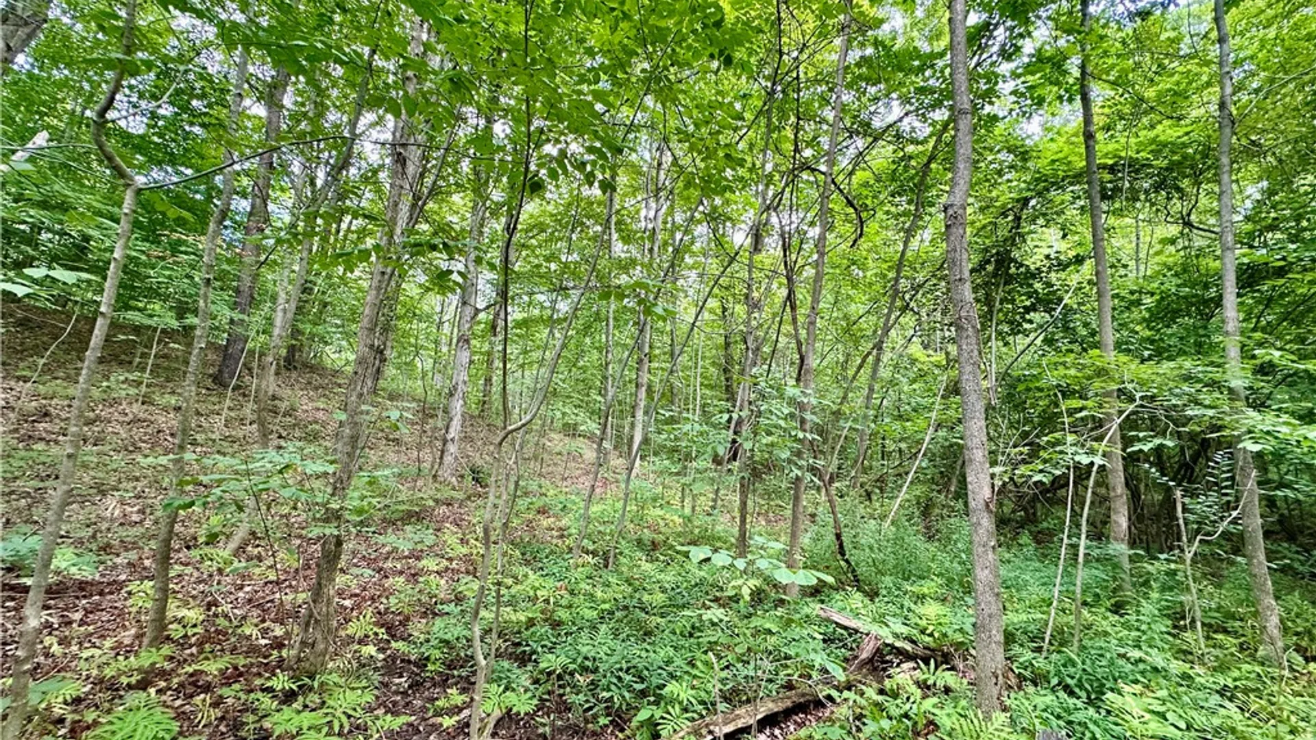Property at 0 Lanning Road, Naples, NY 14512 16