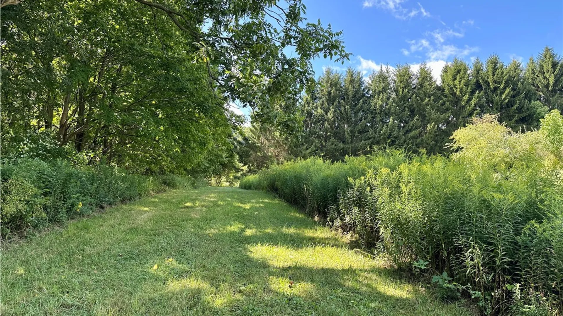 Property at 0 Lanning Road, Naples, NY 14512 4