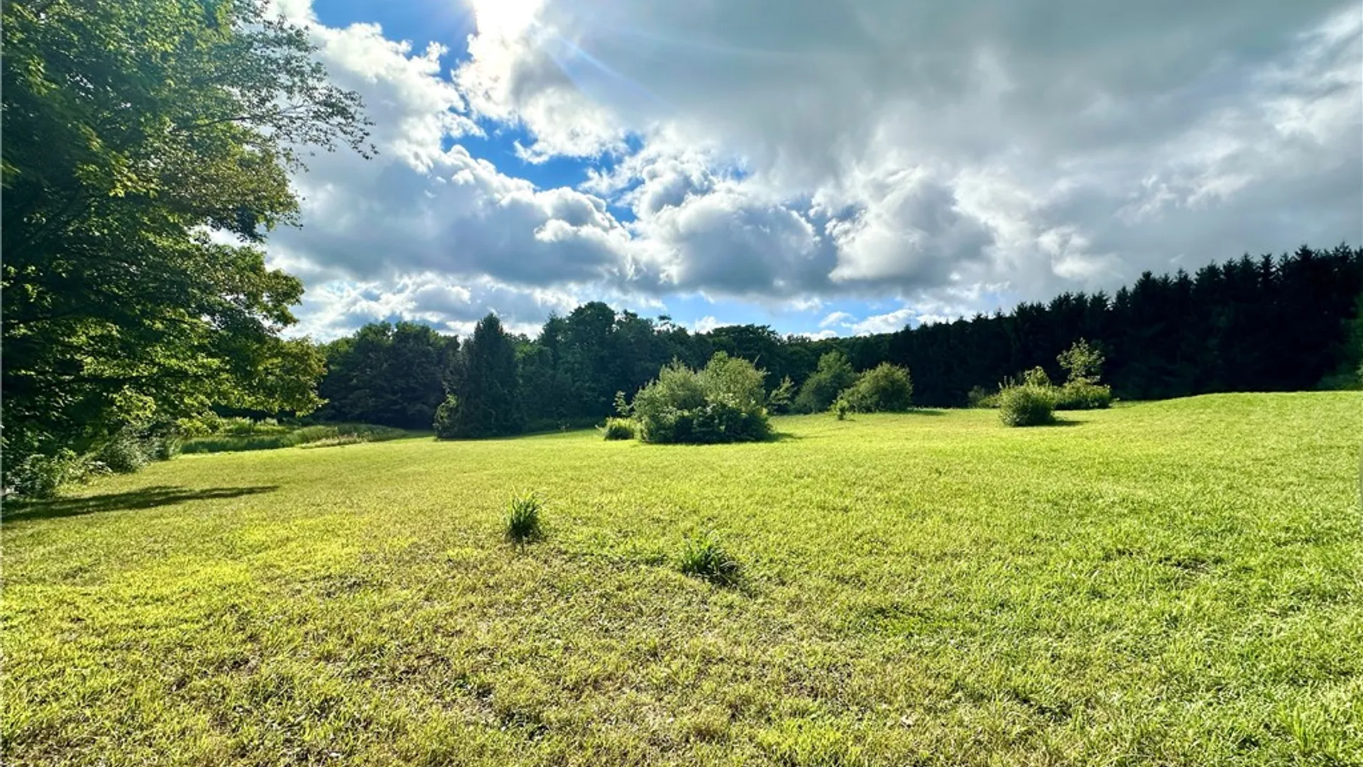 Property at 0 Lanning Road, Naples, NY 14512 5