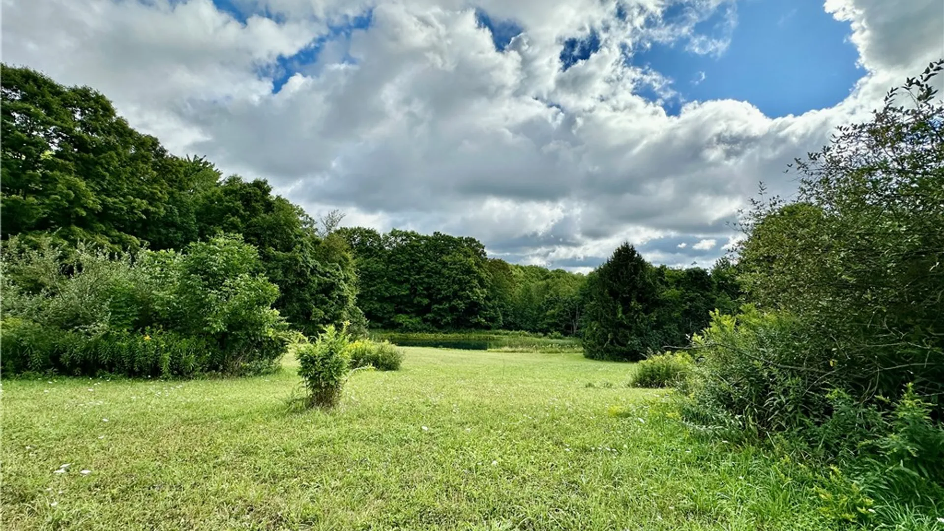 Property at 0 Lanning Road, Naples, NY 14512 6