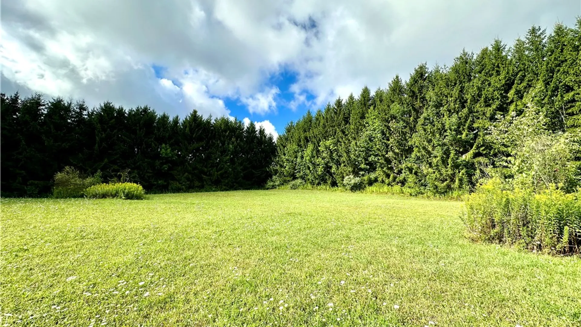 Property at 0 Lanning Road, Naples, NY 14512 7