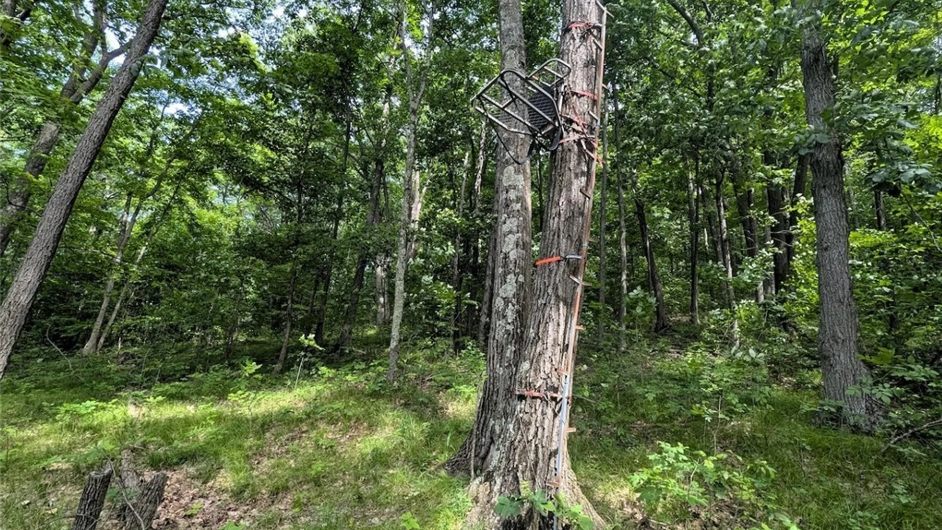 Property at Keifer Hollow Road, Dansville, NY 14437 10