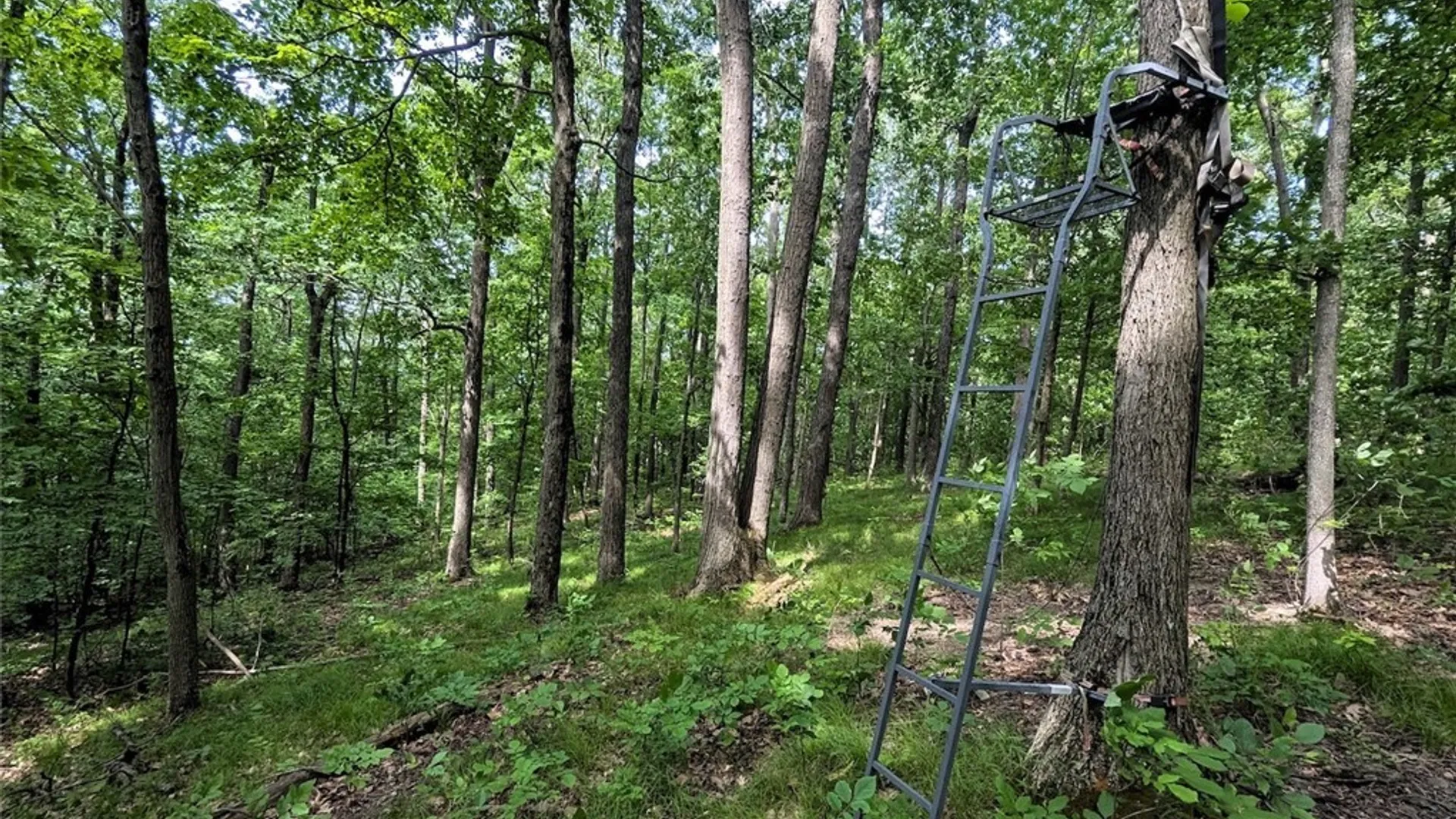 Property at Keifer Hollow Road, Dansville, NY 14437 15