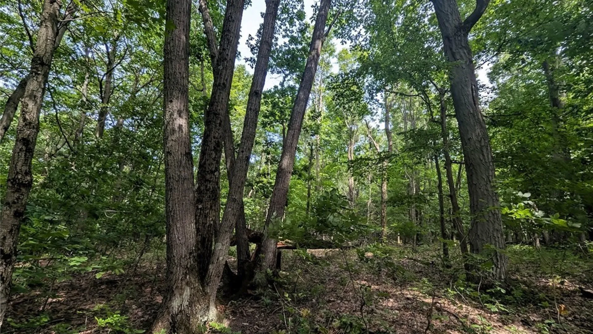 Property at Keifer Hollow Road, Dansville, NY 14437 16