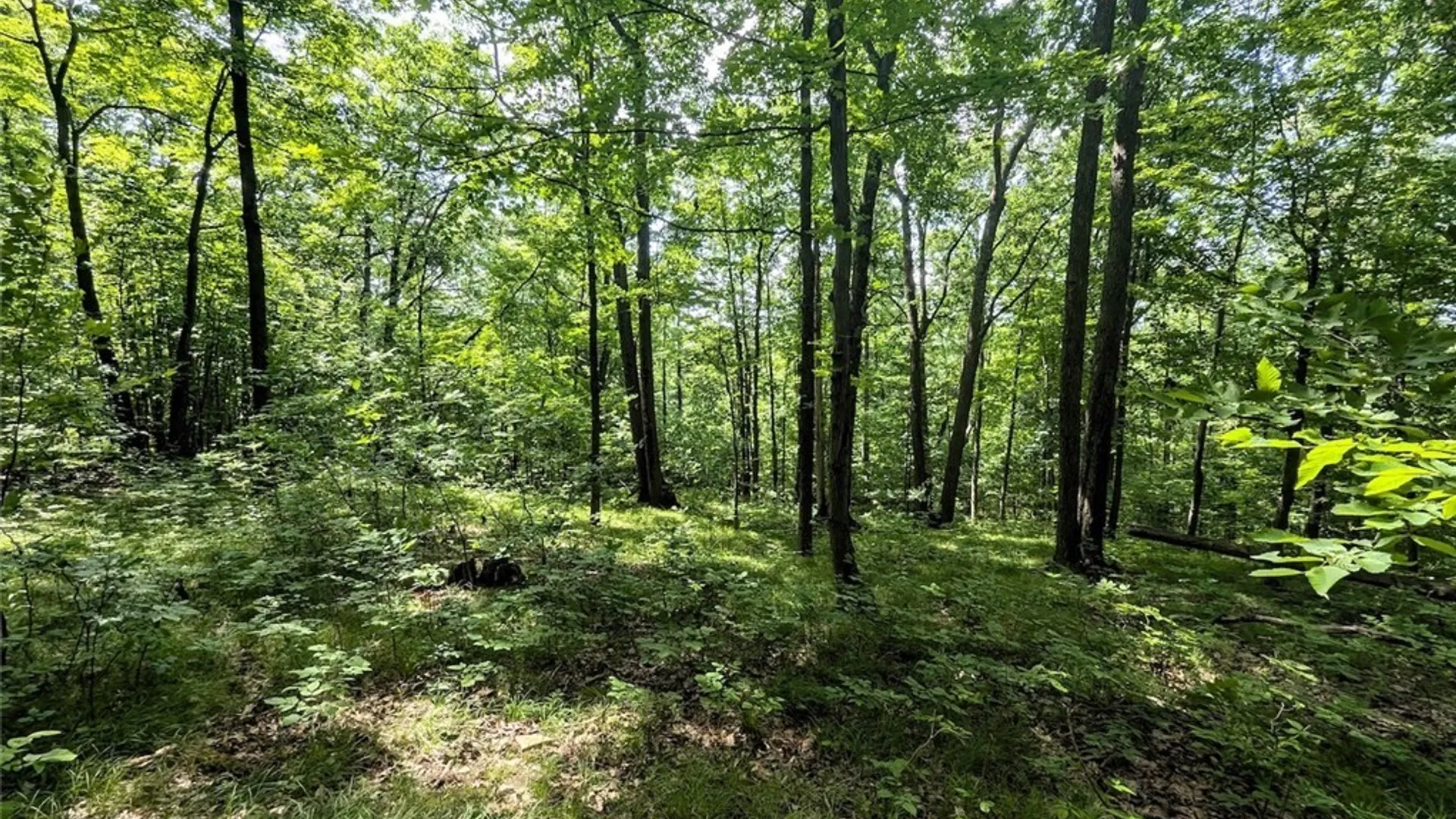 Property at Keifer Hollow Road, Dansville, NY 14437 25
