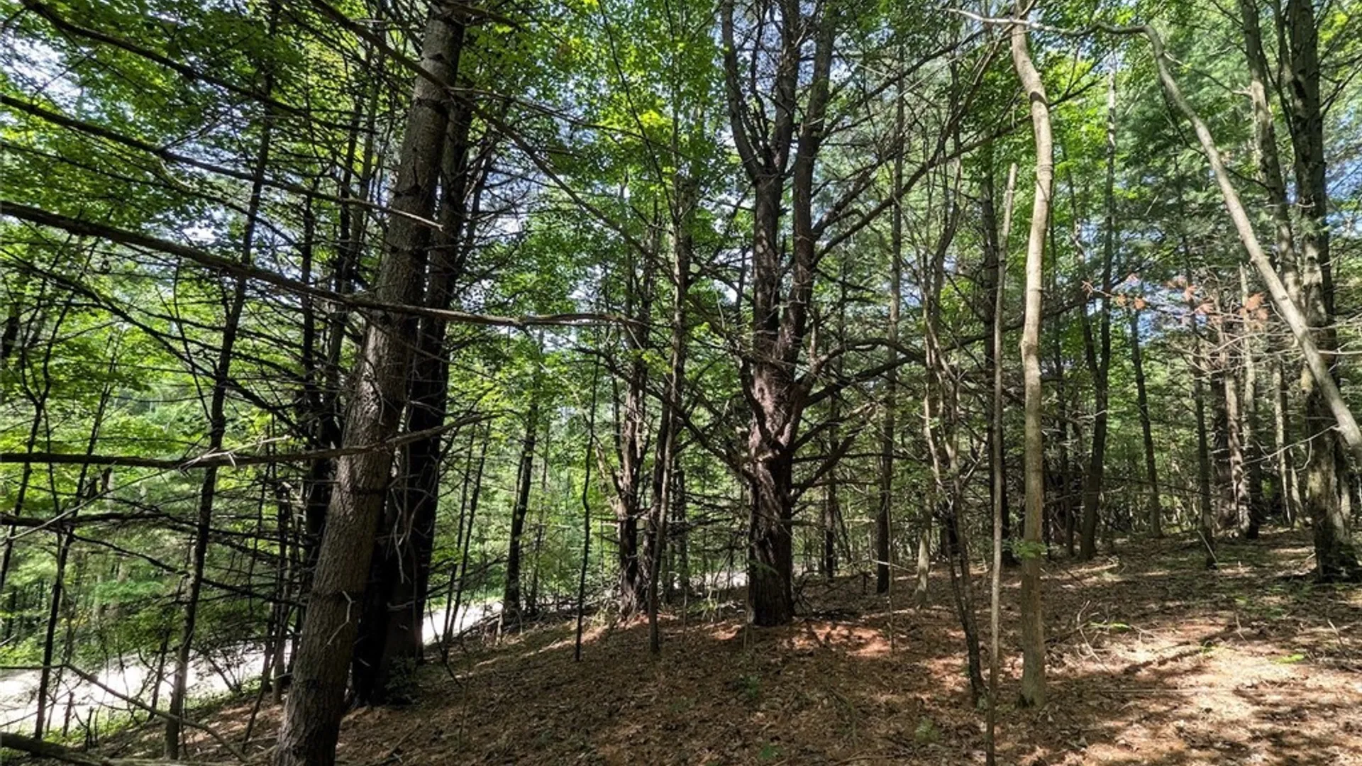 Property at Keifer Hollow Road, Dansville, NY 14437 29