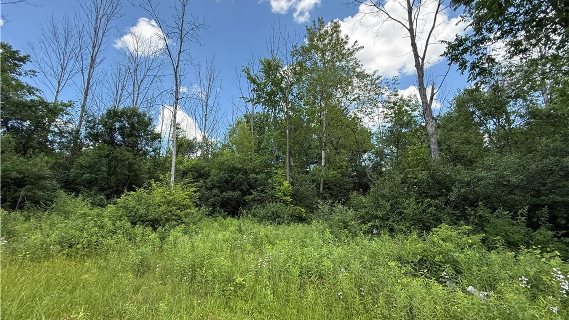 Property at Caswell Road, Dryden, NY 13068 21