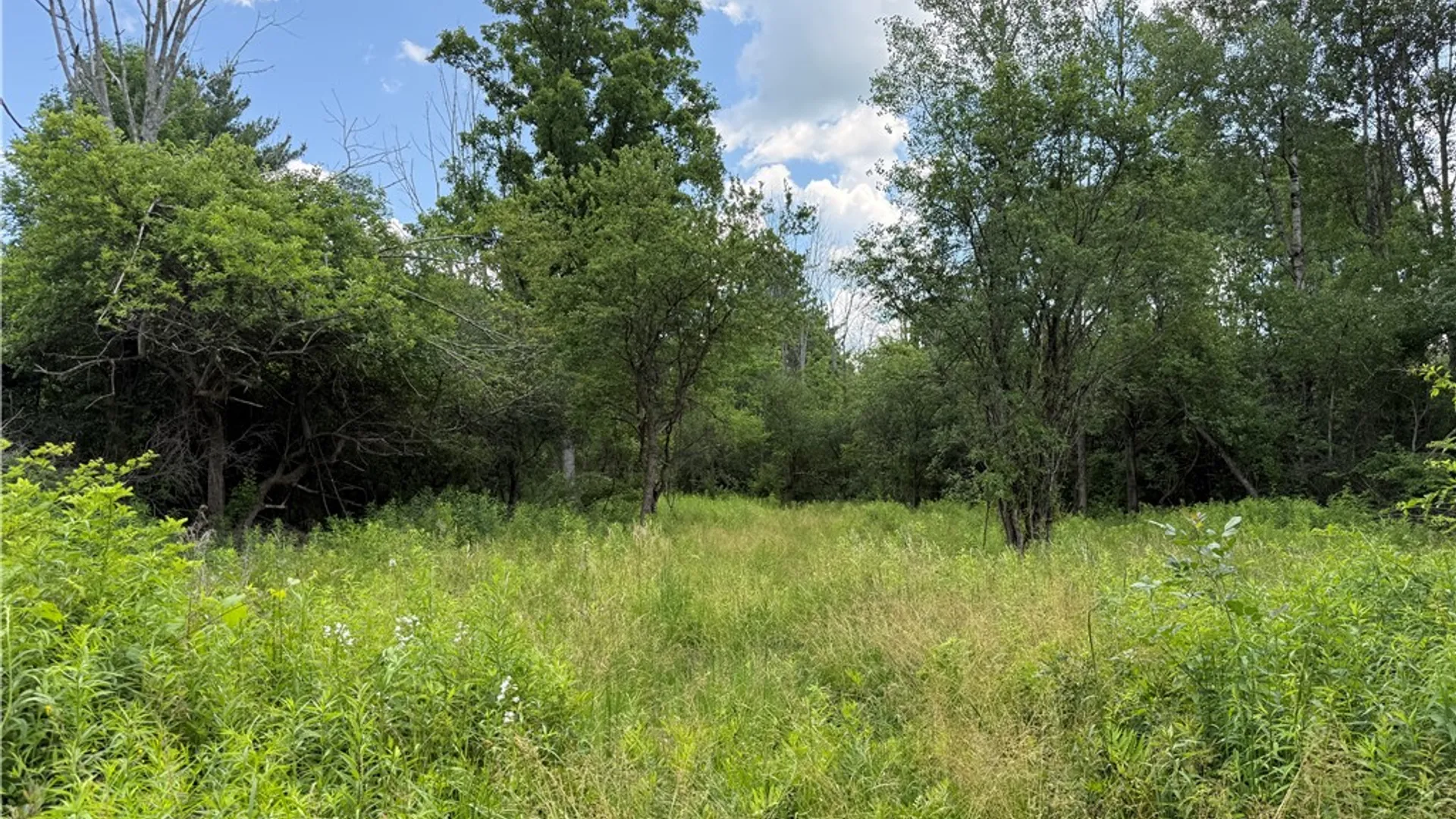 Property at Caswell Road, Dryden, NY 13068 22