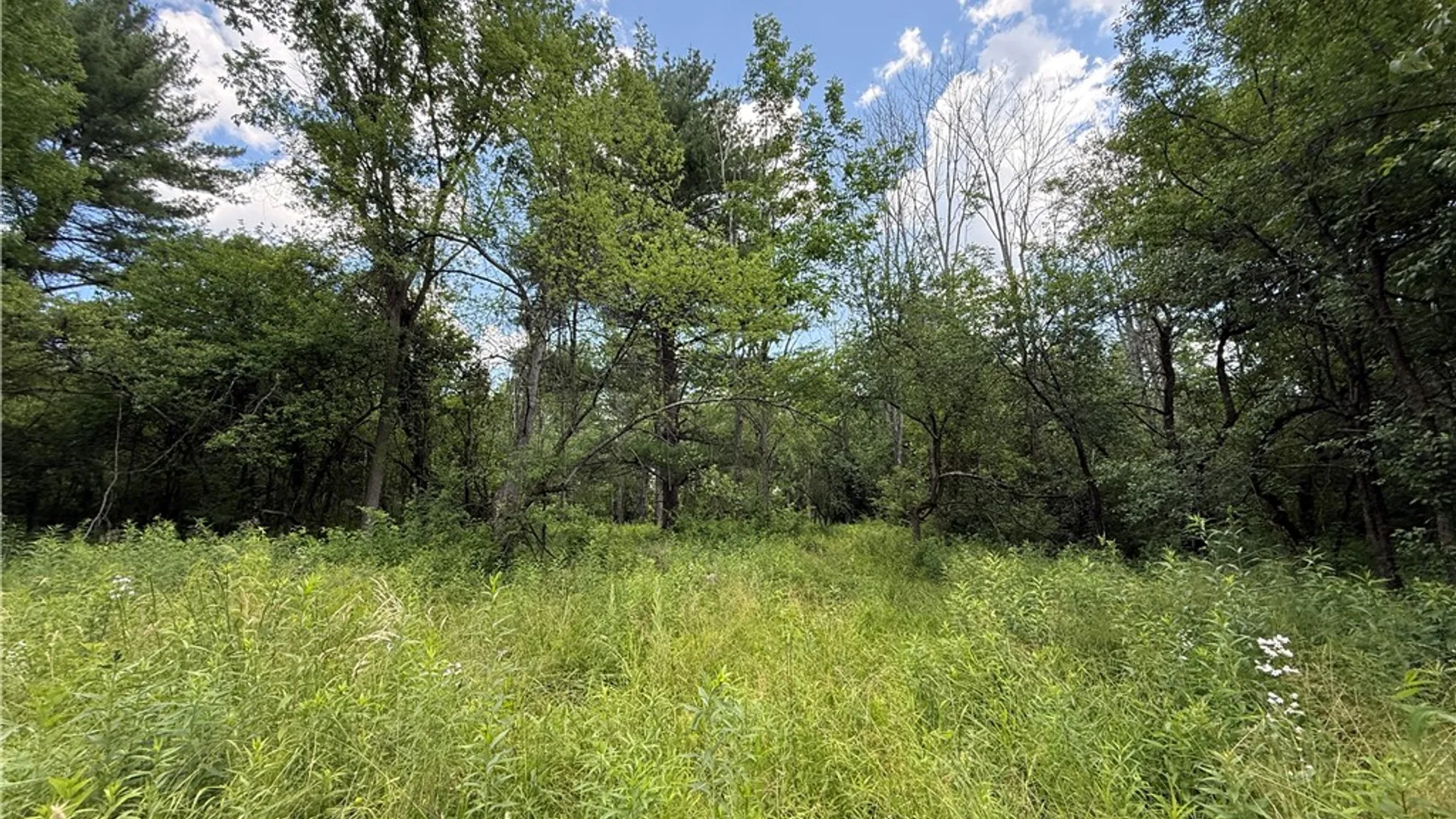 Property at Caswell Road, Dryden, NY 13068 24