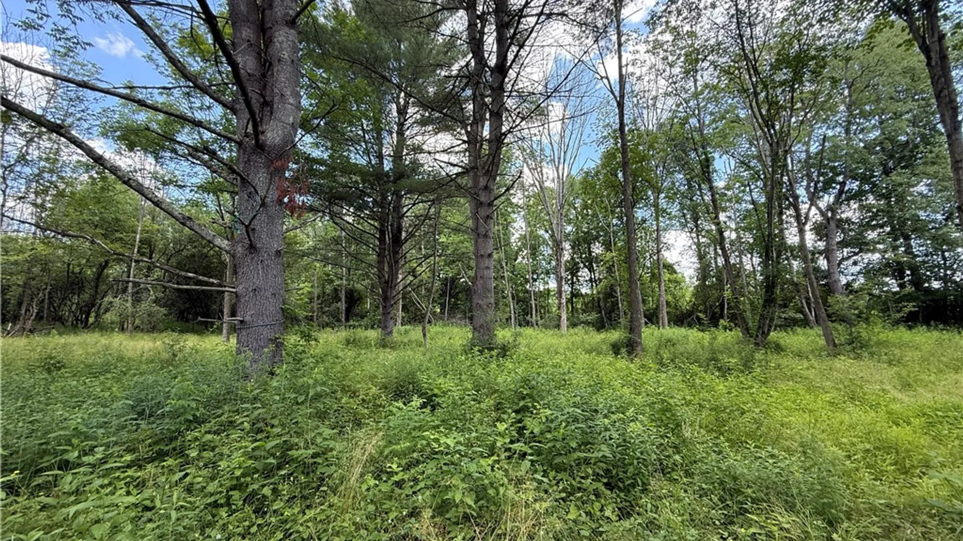 Property at Caswell Road, Dryden, NY 13068 25