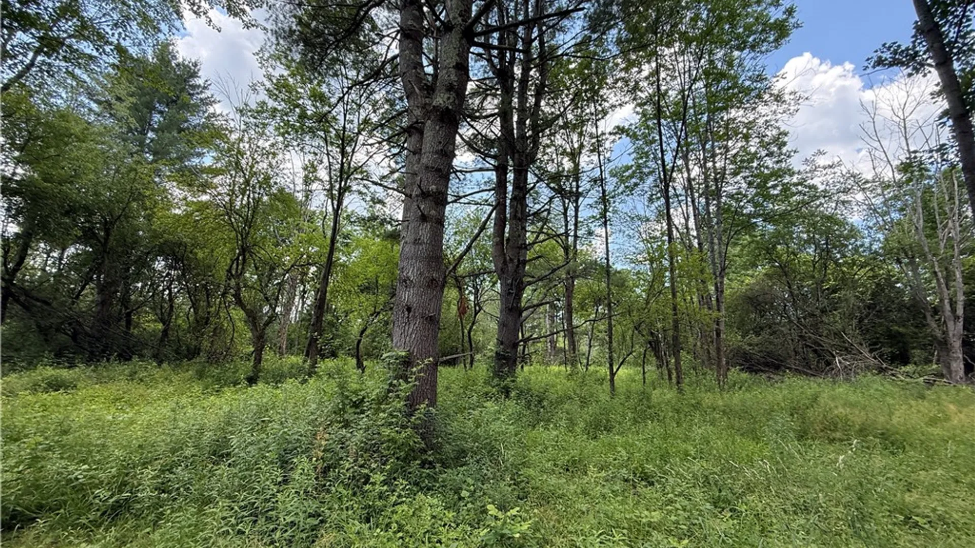Property at Caswell Road, Dryden, NY 13068 26
