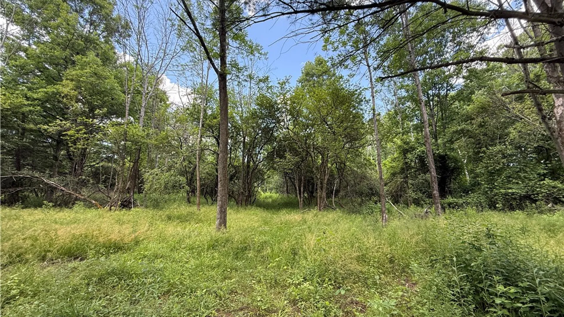 Property at Caswell Road, Dryden, NY 13068 27