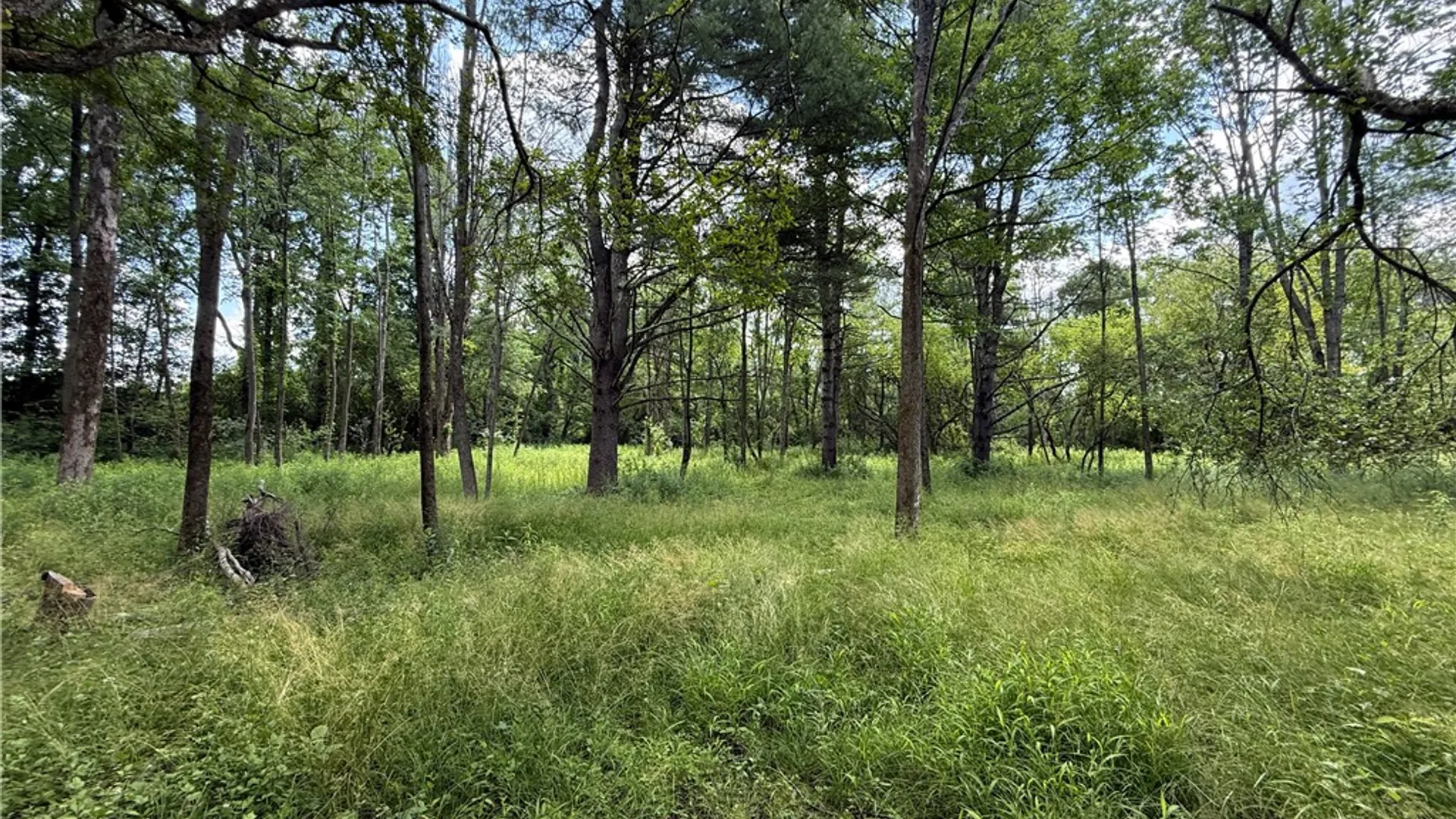 Property at Caswell Road, Dryden, NY 13068 29