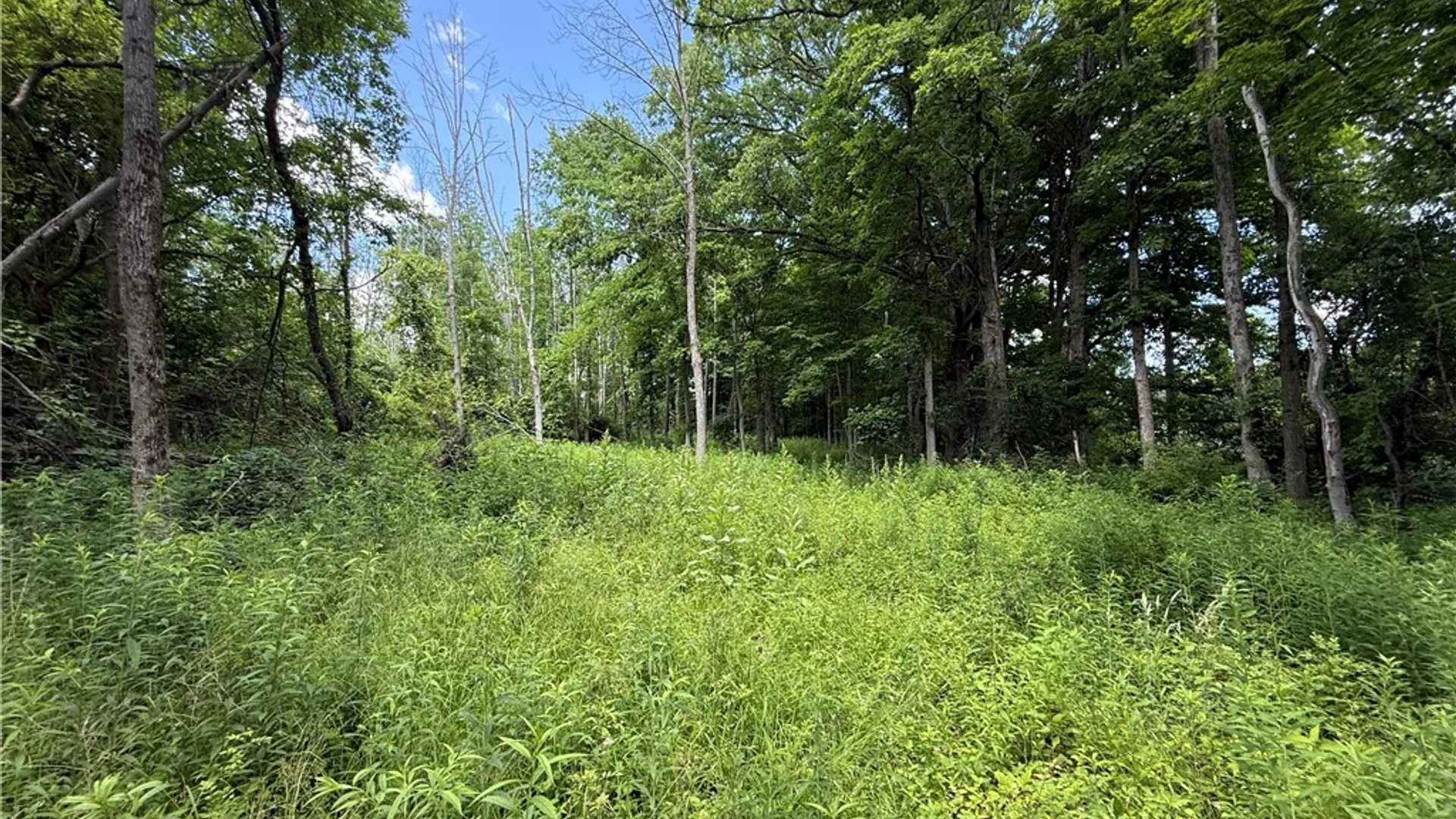 Property at Caswell Road, Dryden, NY 13068 31