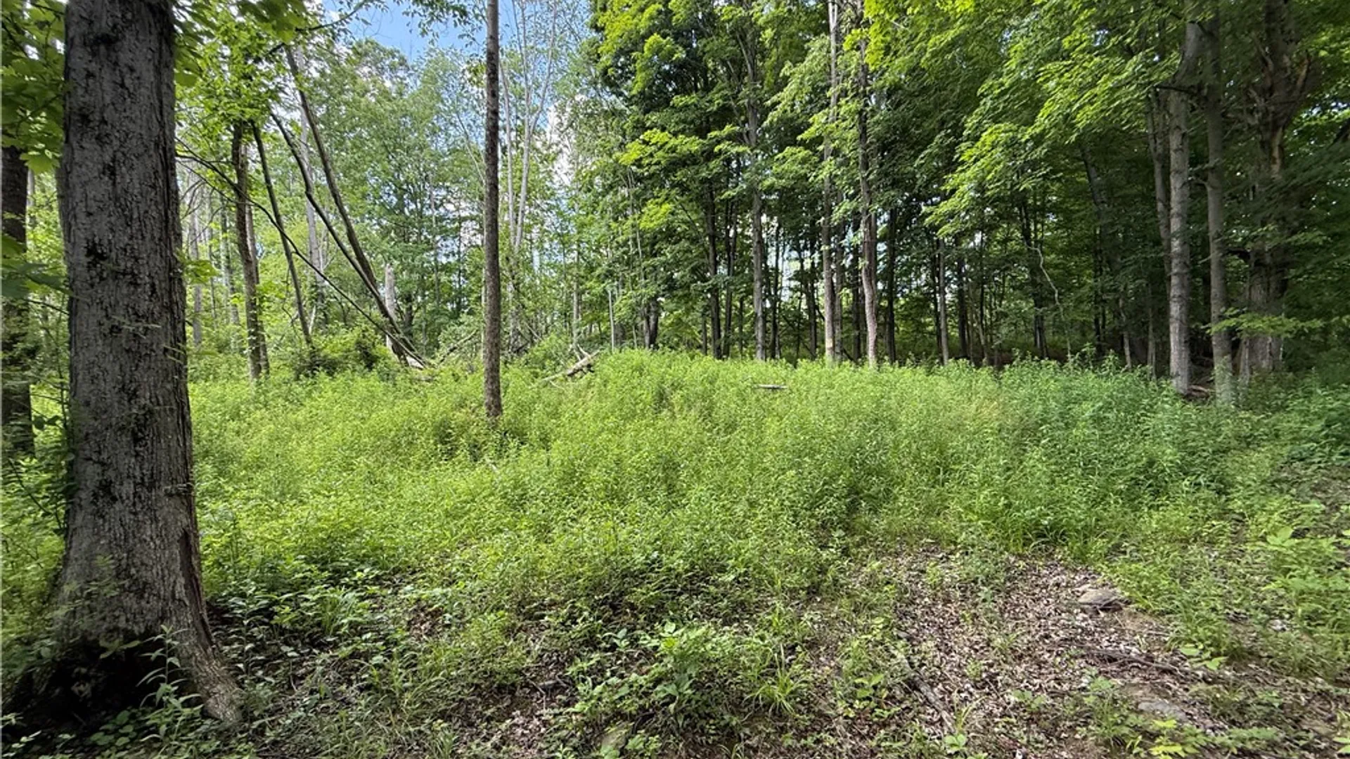 Property at Caswell Road, Dryden, NY 13068 32